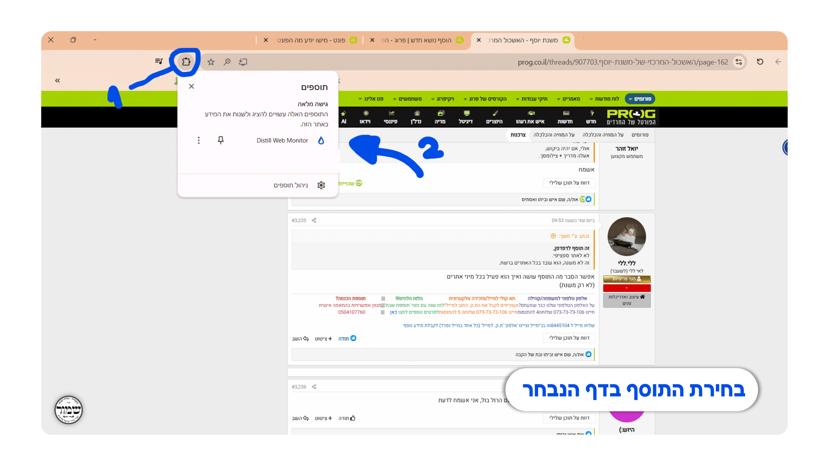 רקע - תמונה-2.png