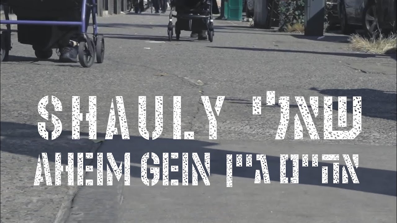 שאולי - אהיים גיין.jpg