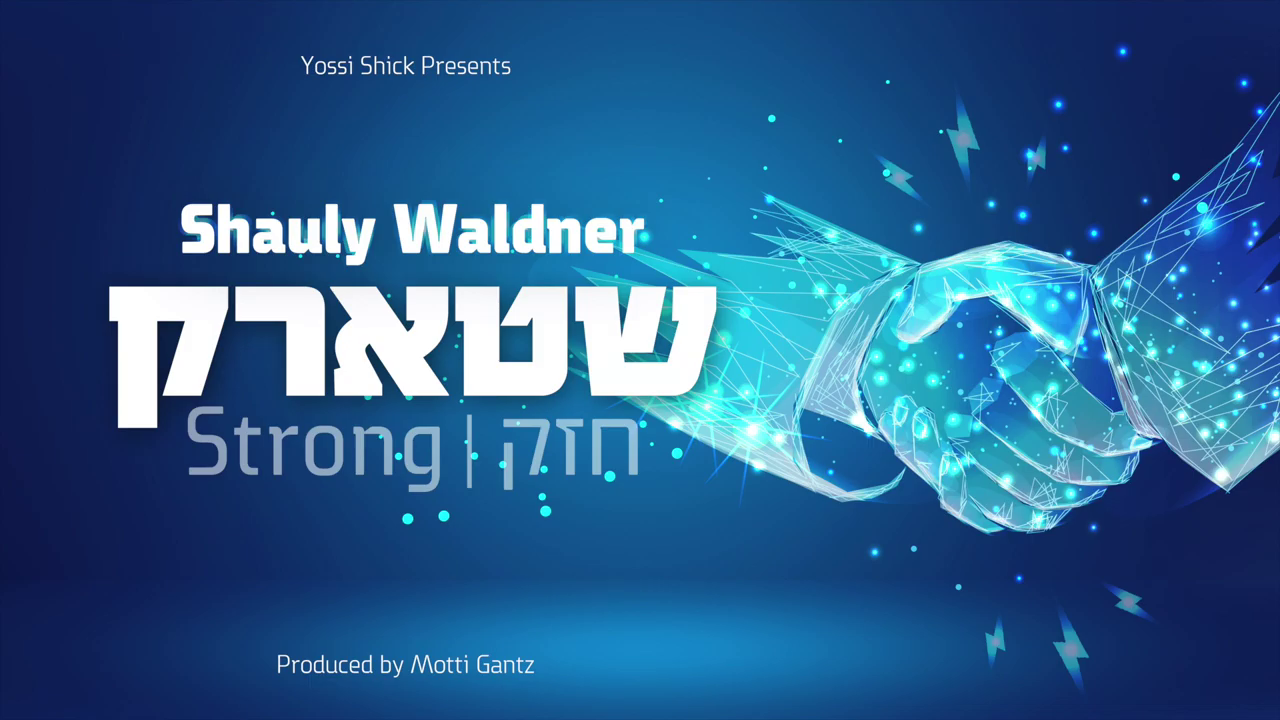 שאולי וולדנר - שטארק.png