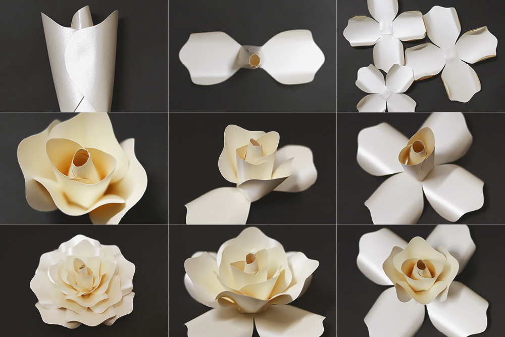 שבלים פרחים מנייר.jpg