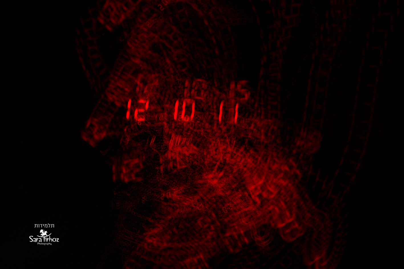 ש''ב שרה טירהויז (1) copy.jpg