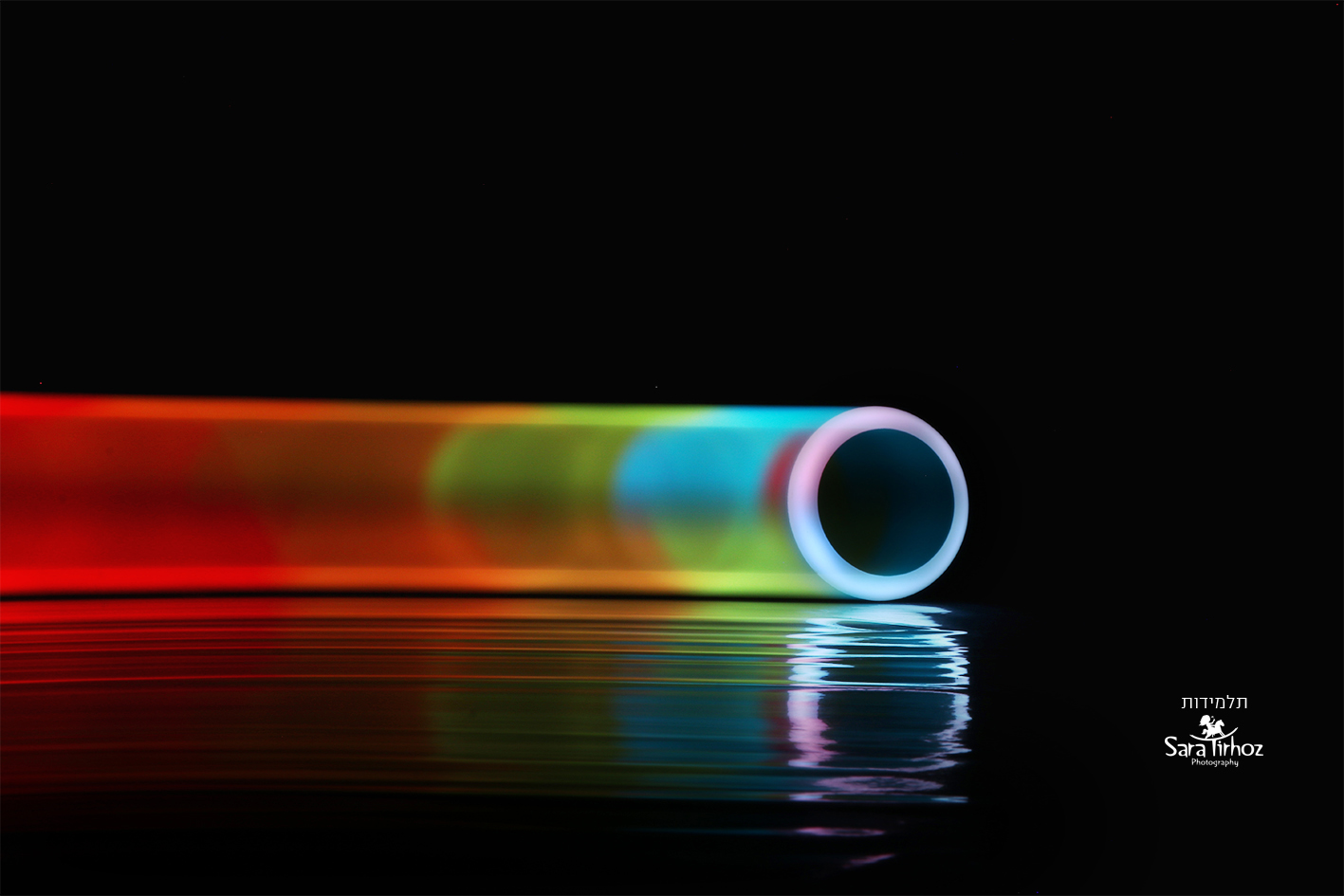 ש''ב שרה טירהויז (4) copy.jpg