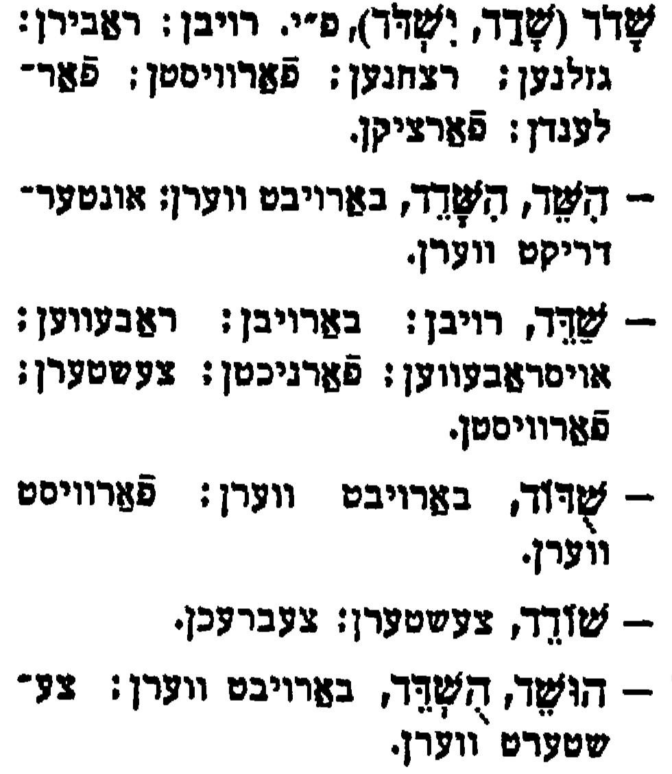 שדוד - צאנין.jpg