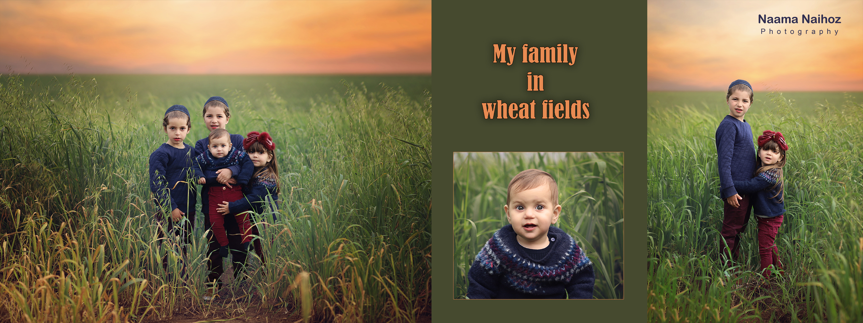 שדות חיטה.jpg