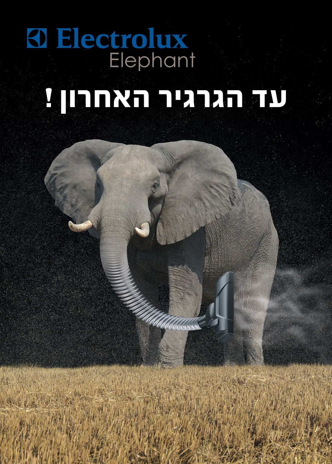 שואב - פיל.jpg