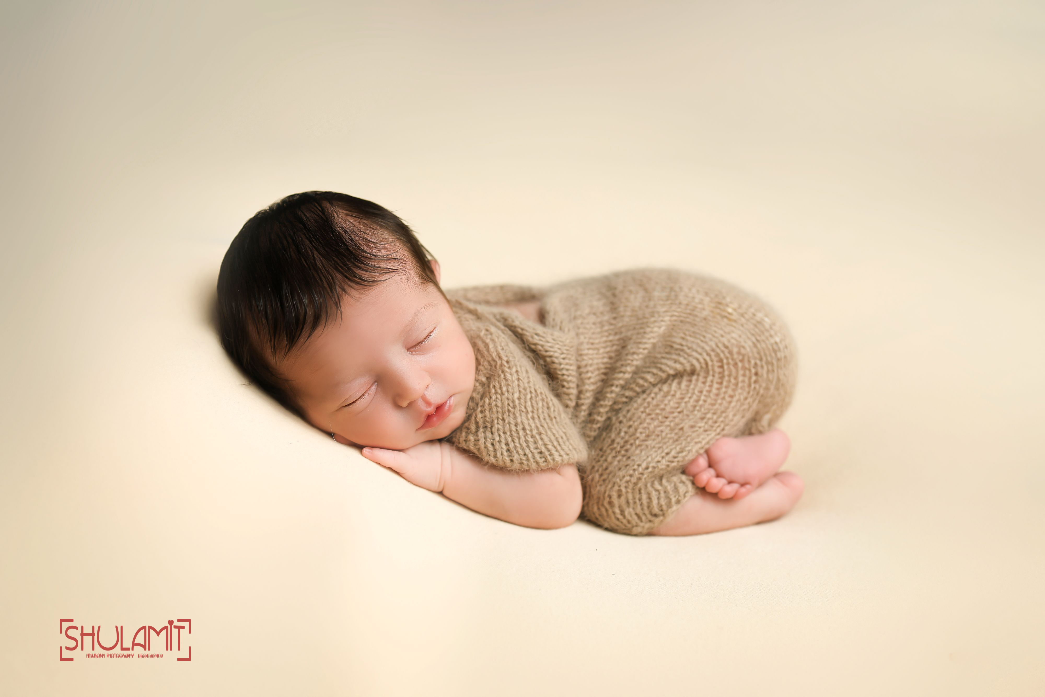 שולמית הפנר צלמת 0534592402.JPG