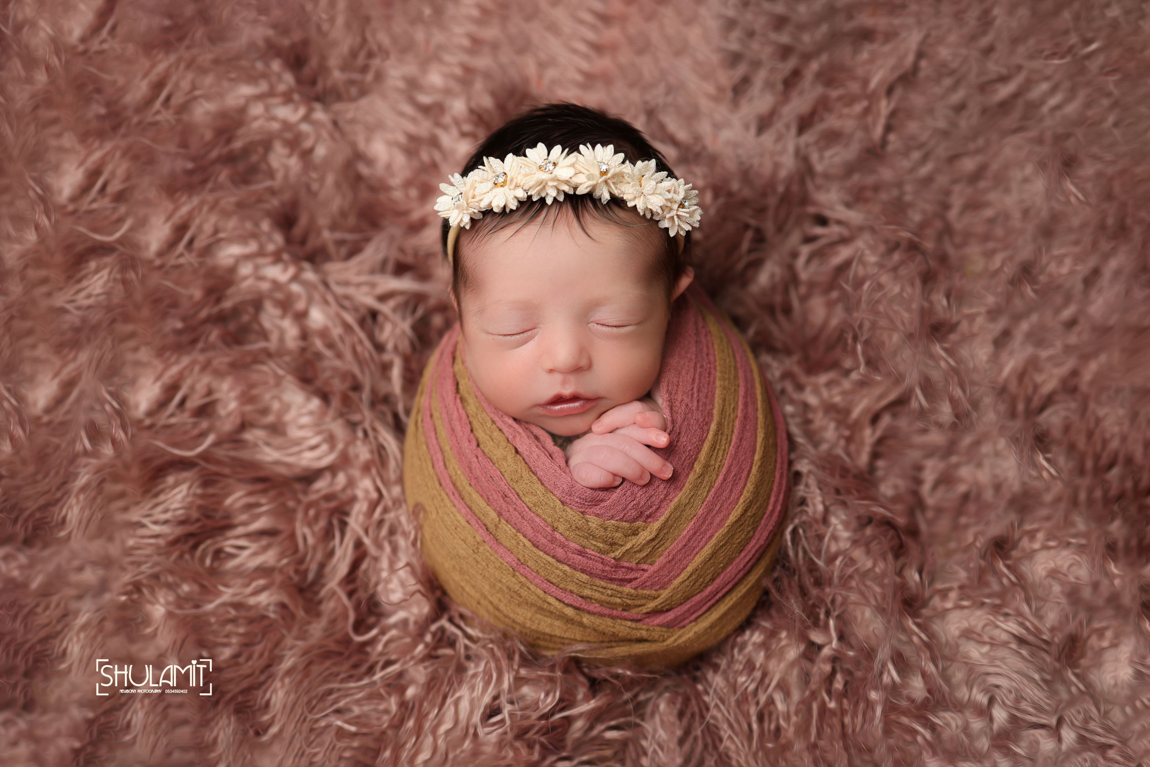 שולמית הפנר צלמת3 0534592402.JPG