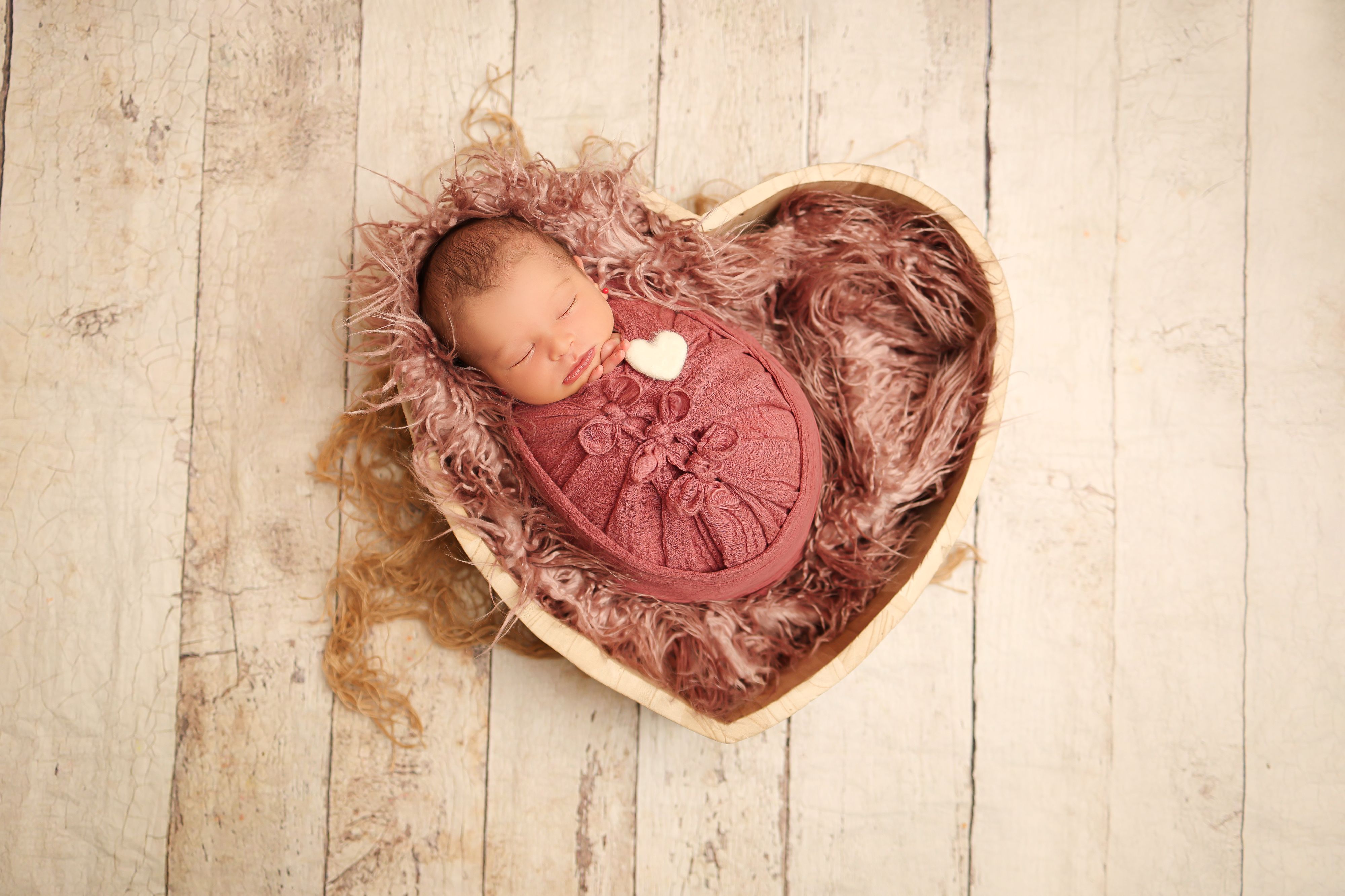 שולמית הפנר צלמת6 0534592402.JPG