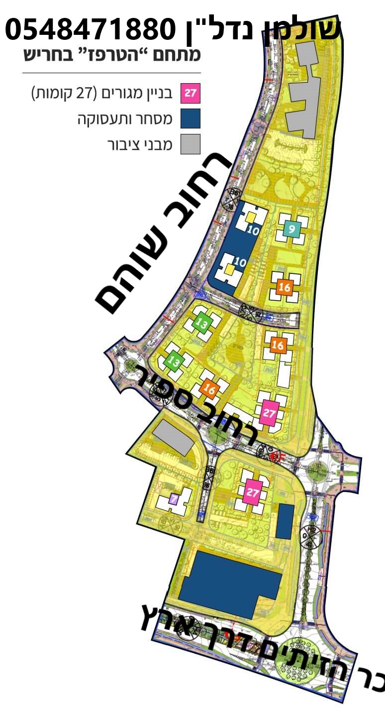 שולמן נדלן הטרפז.jpg