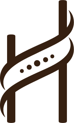 שול חדש הוצאה.png