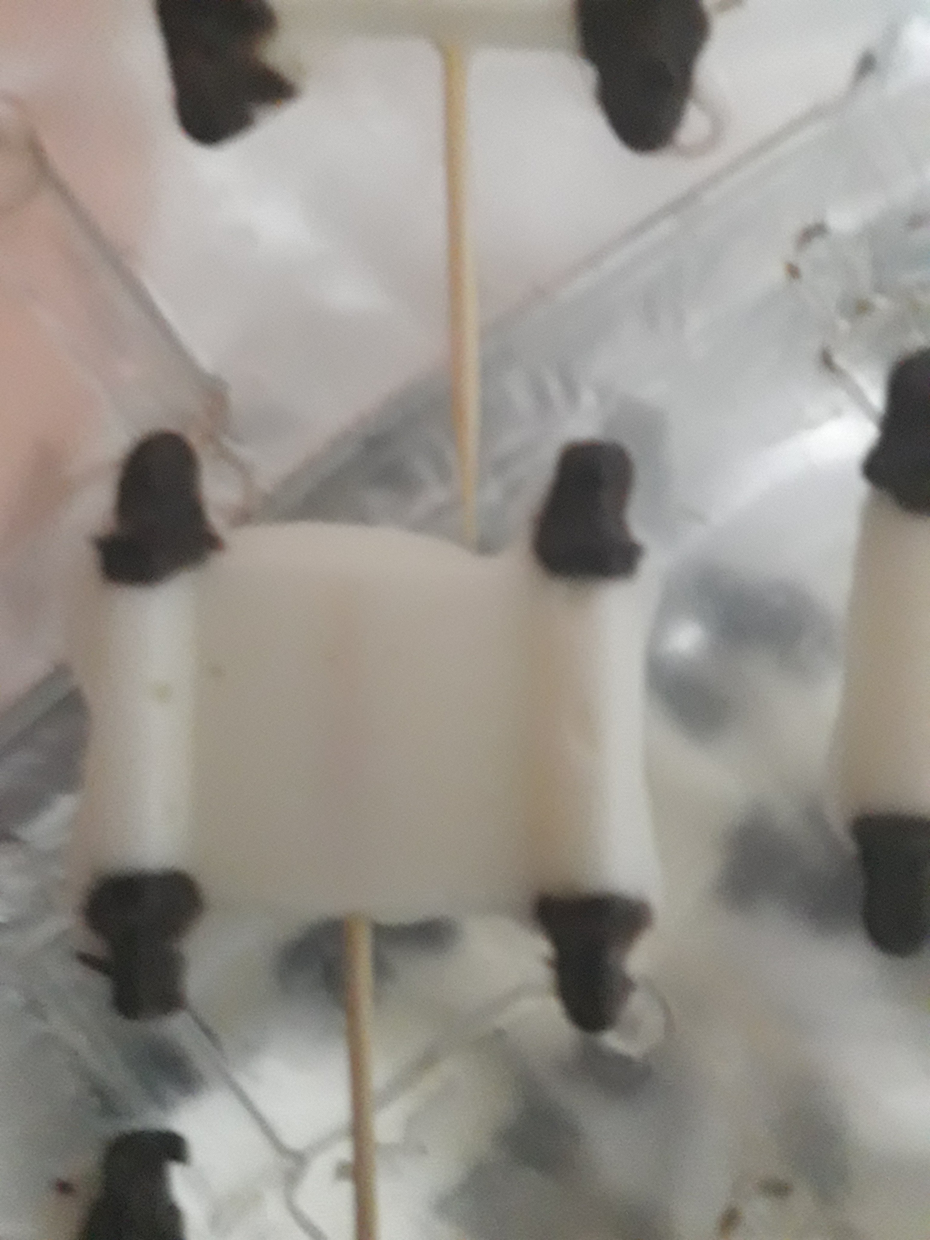 שוקלד ספר תורה 1.jpg