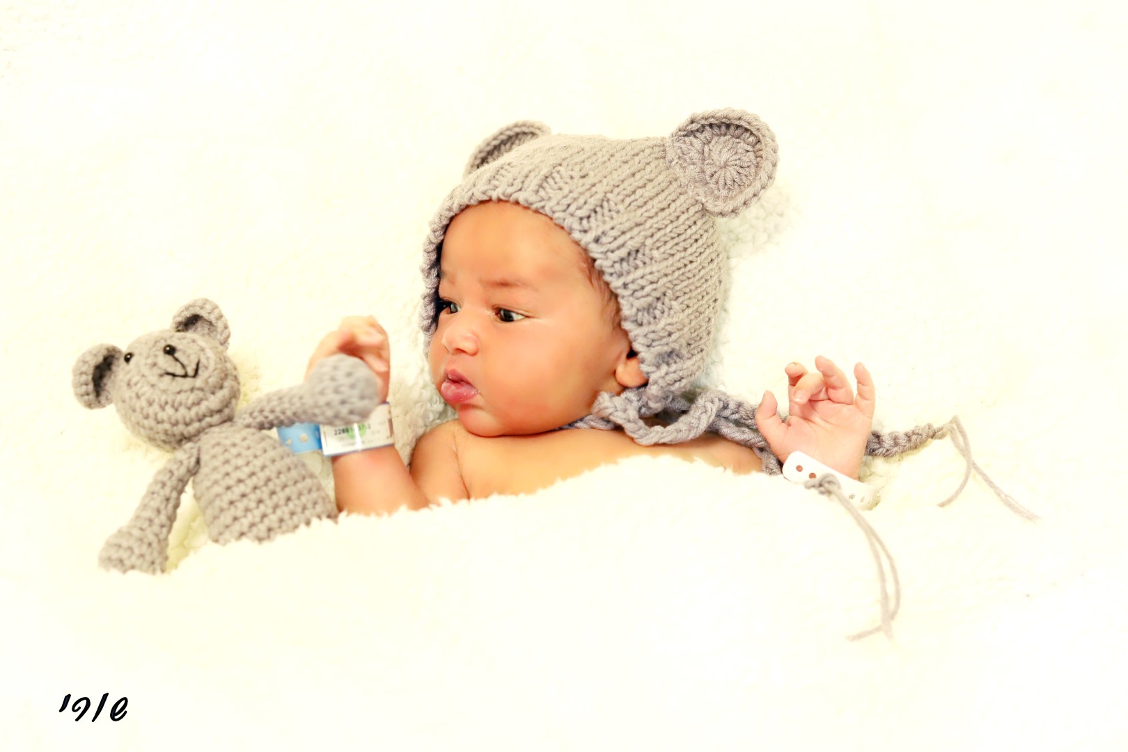 שורי (Large).jpg