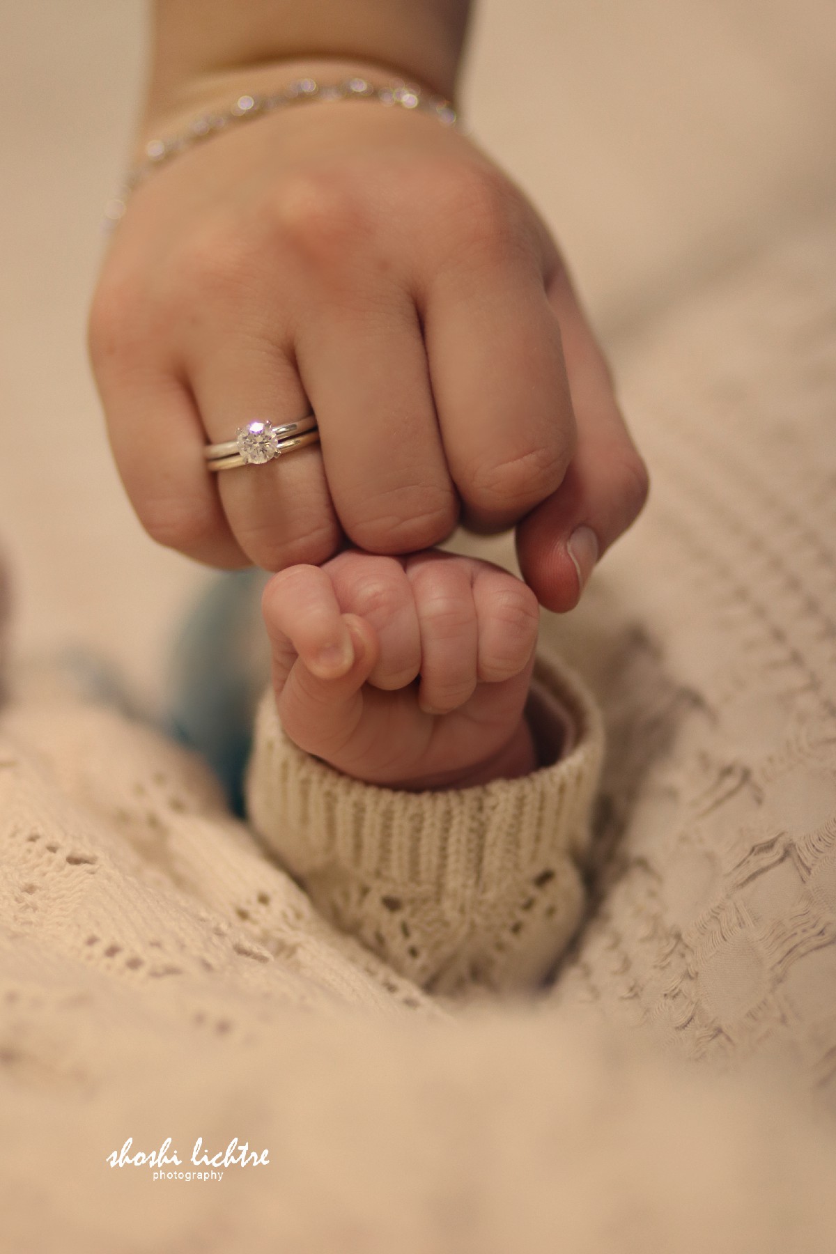 שושי ליכטר צילום.jpg