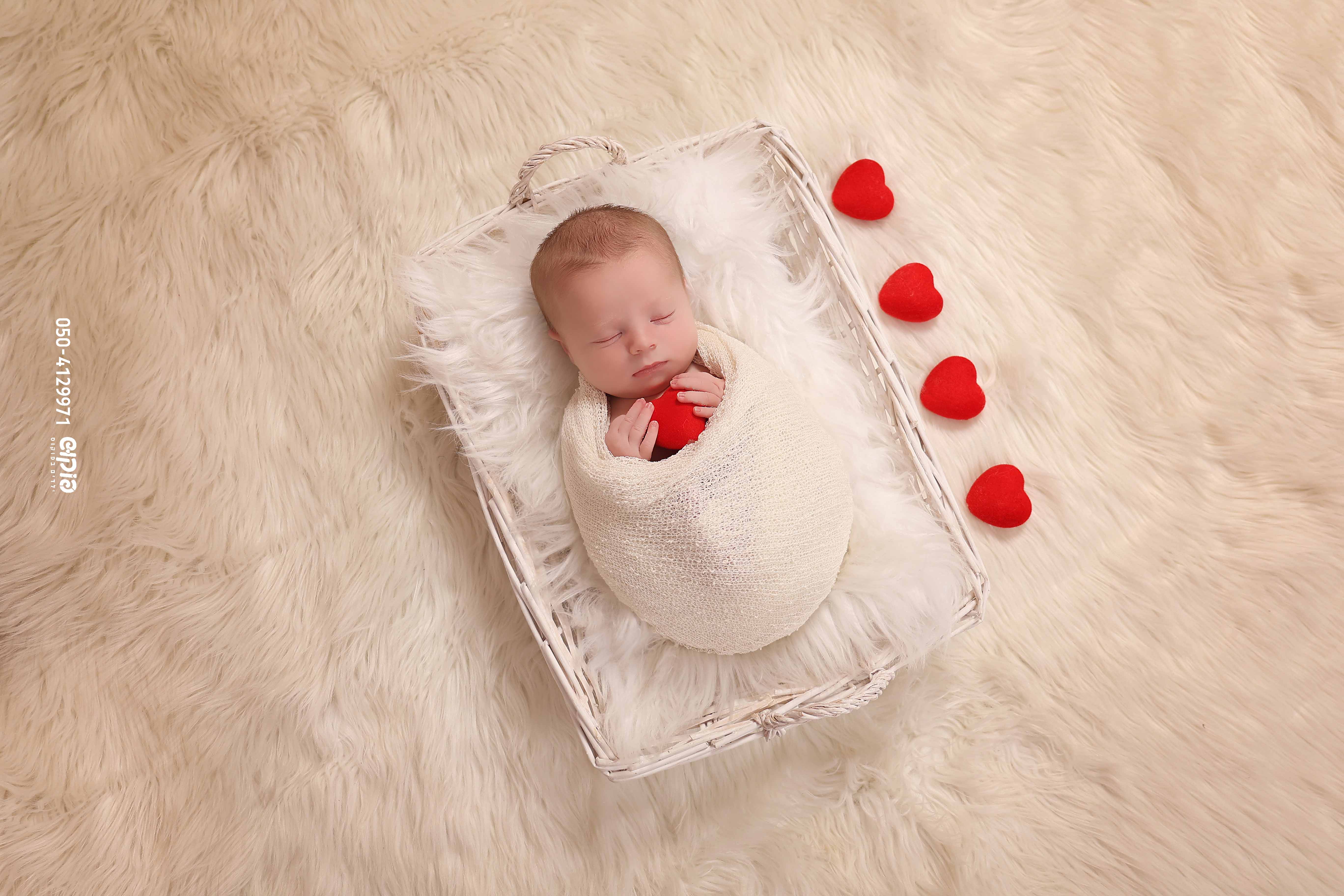 שושי פוקוש 0504129971 ניו בורן  (10).jpg