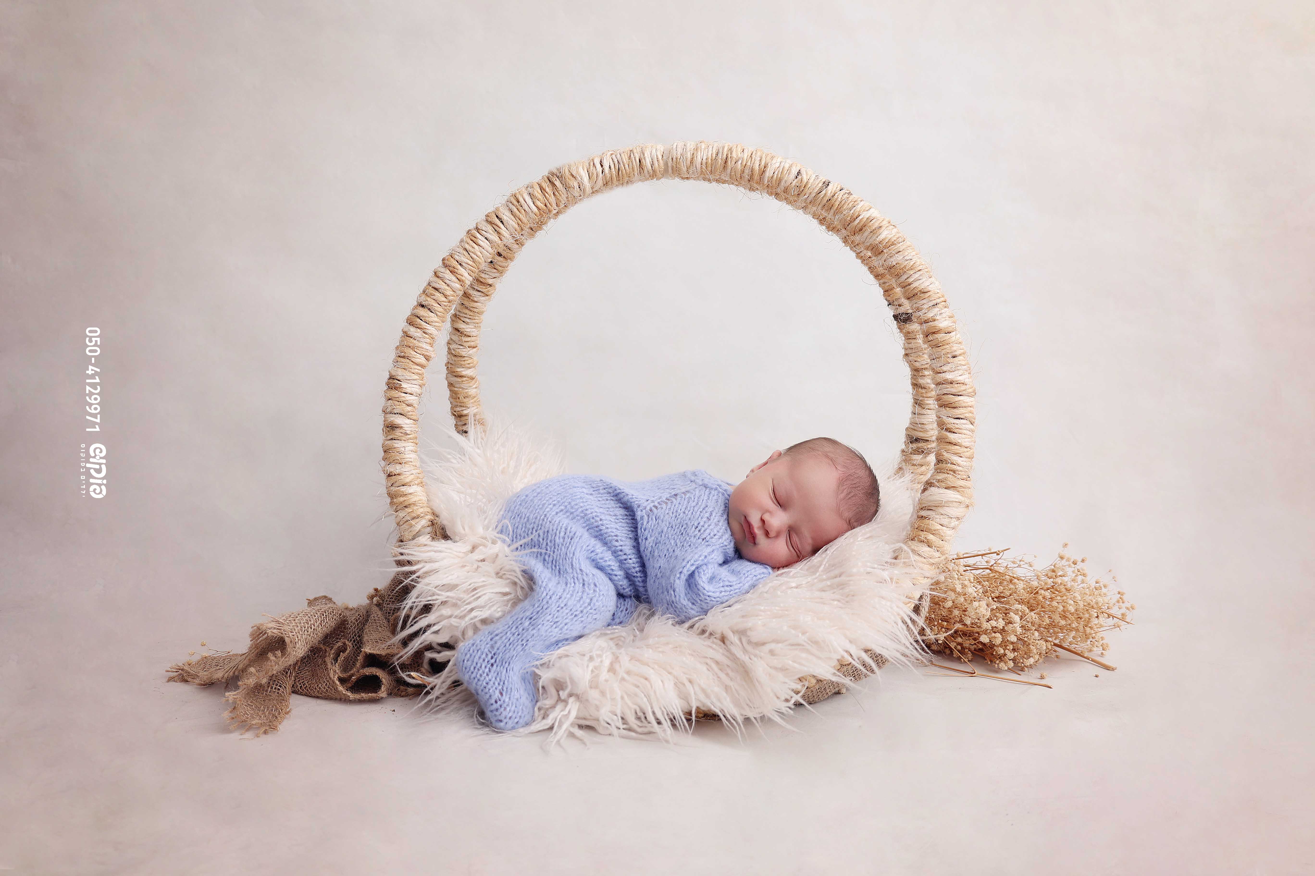 שושי פוקוש 0504129971 ניו בורן  (2).jpg