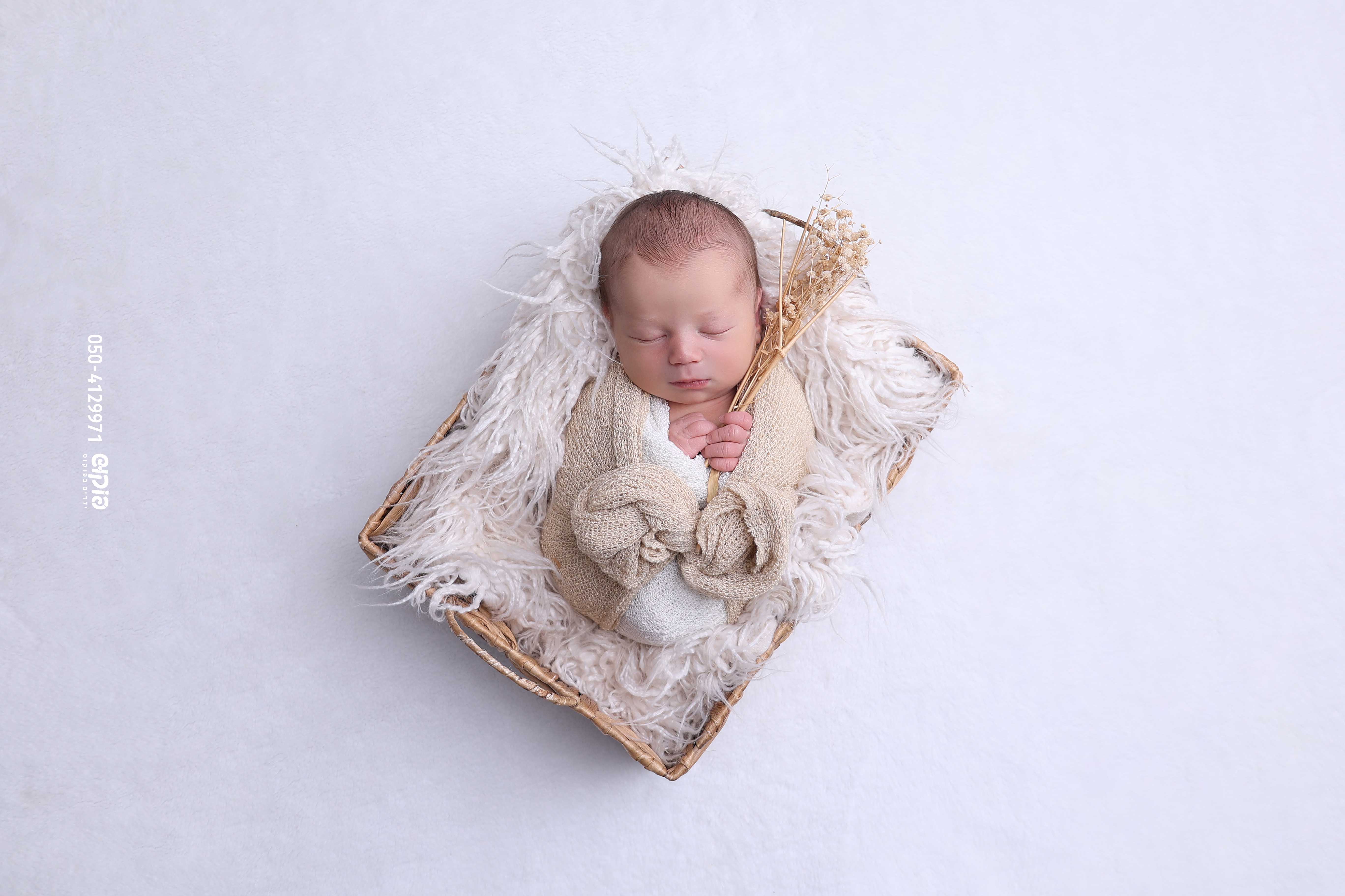 שושי פוקוש 0504129971 ניו בורן  (6).jpg