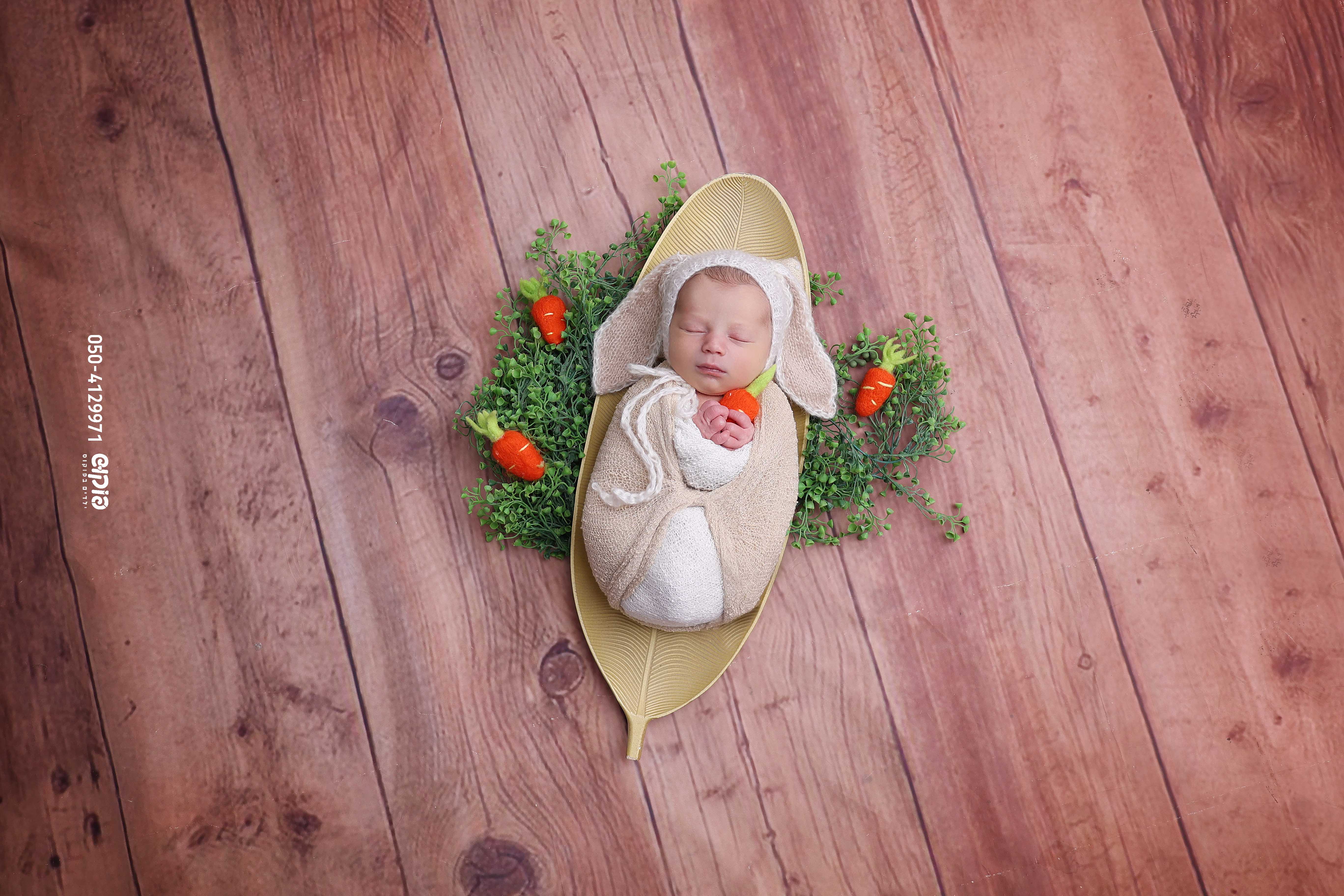 שושי פוקוש 0504129971 ניו בורן  (7).jpg