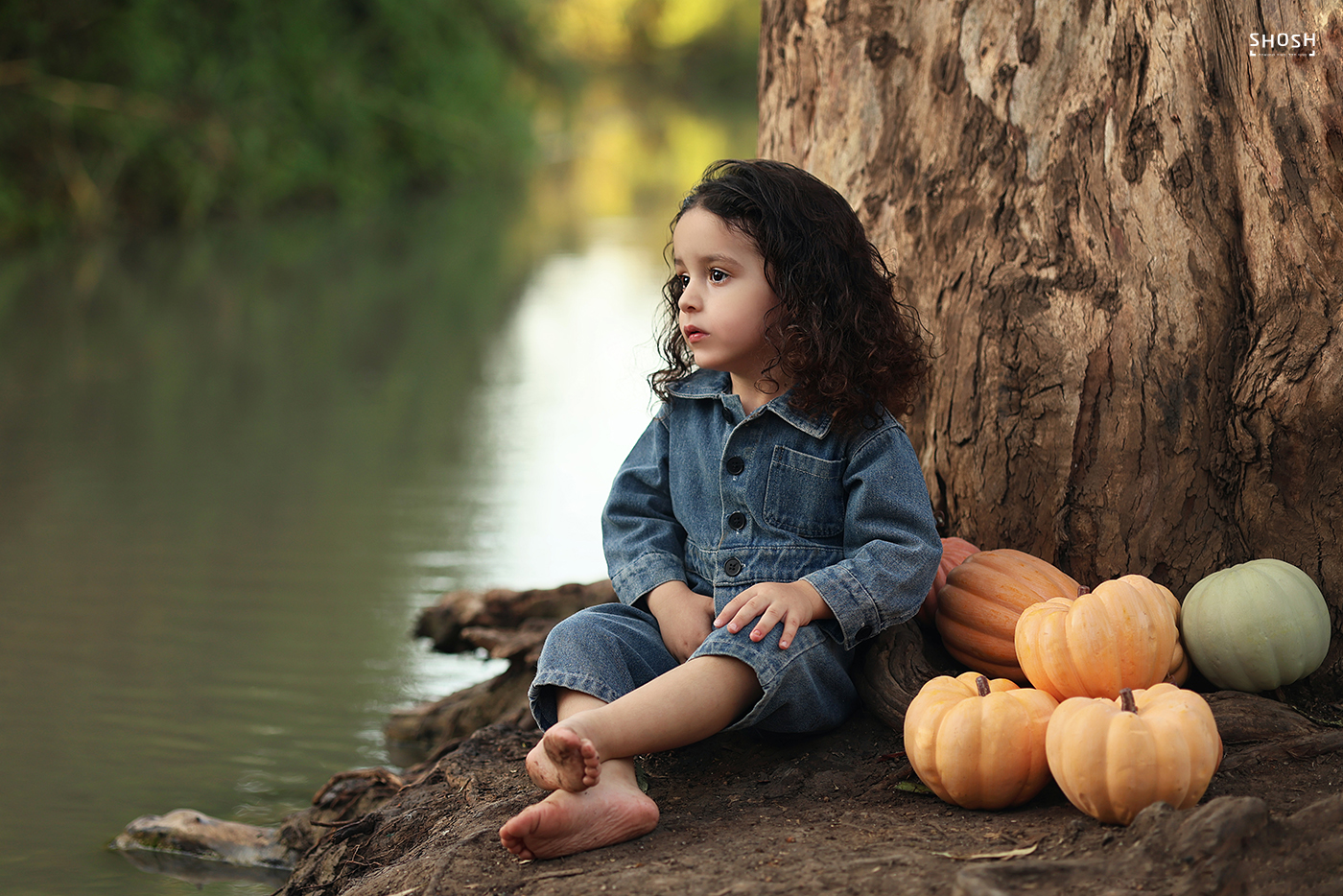 שושי 2 0583237661.jpg