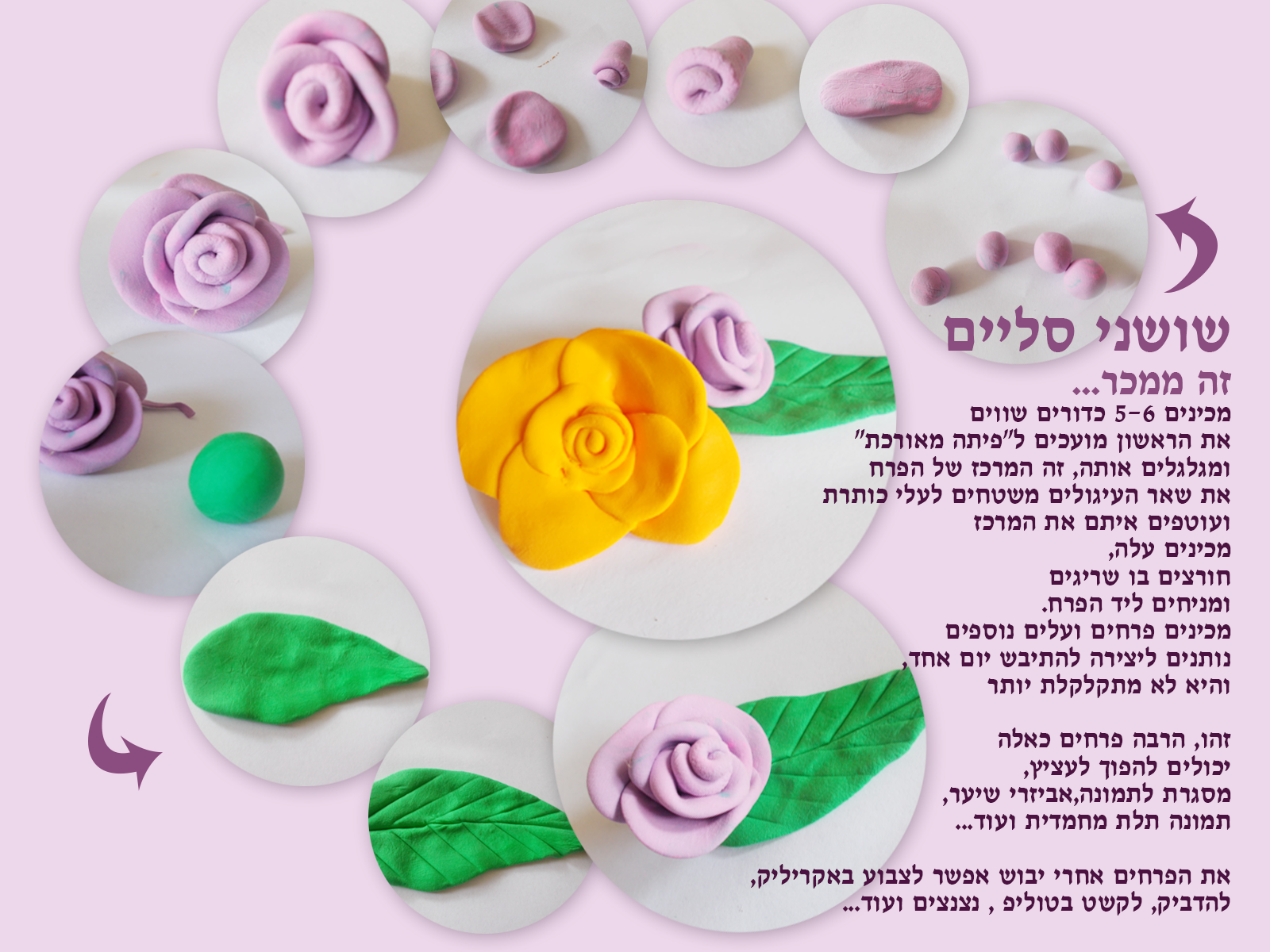שושנים.png