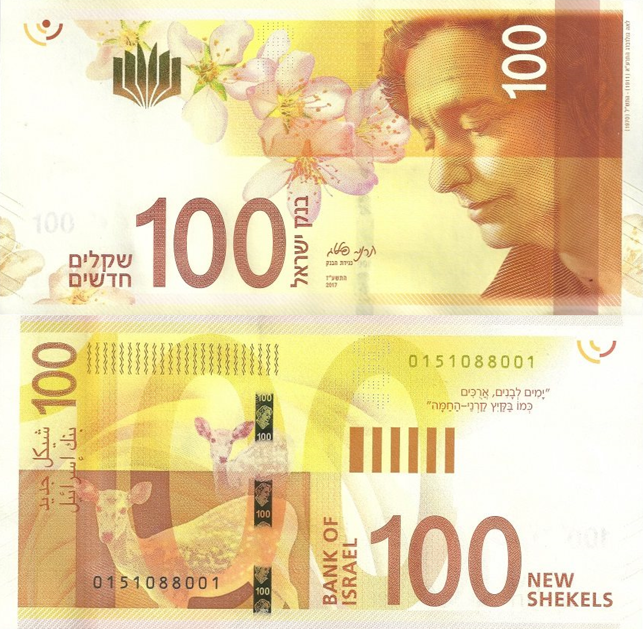 שטרות חדשים 100.png