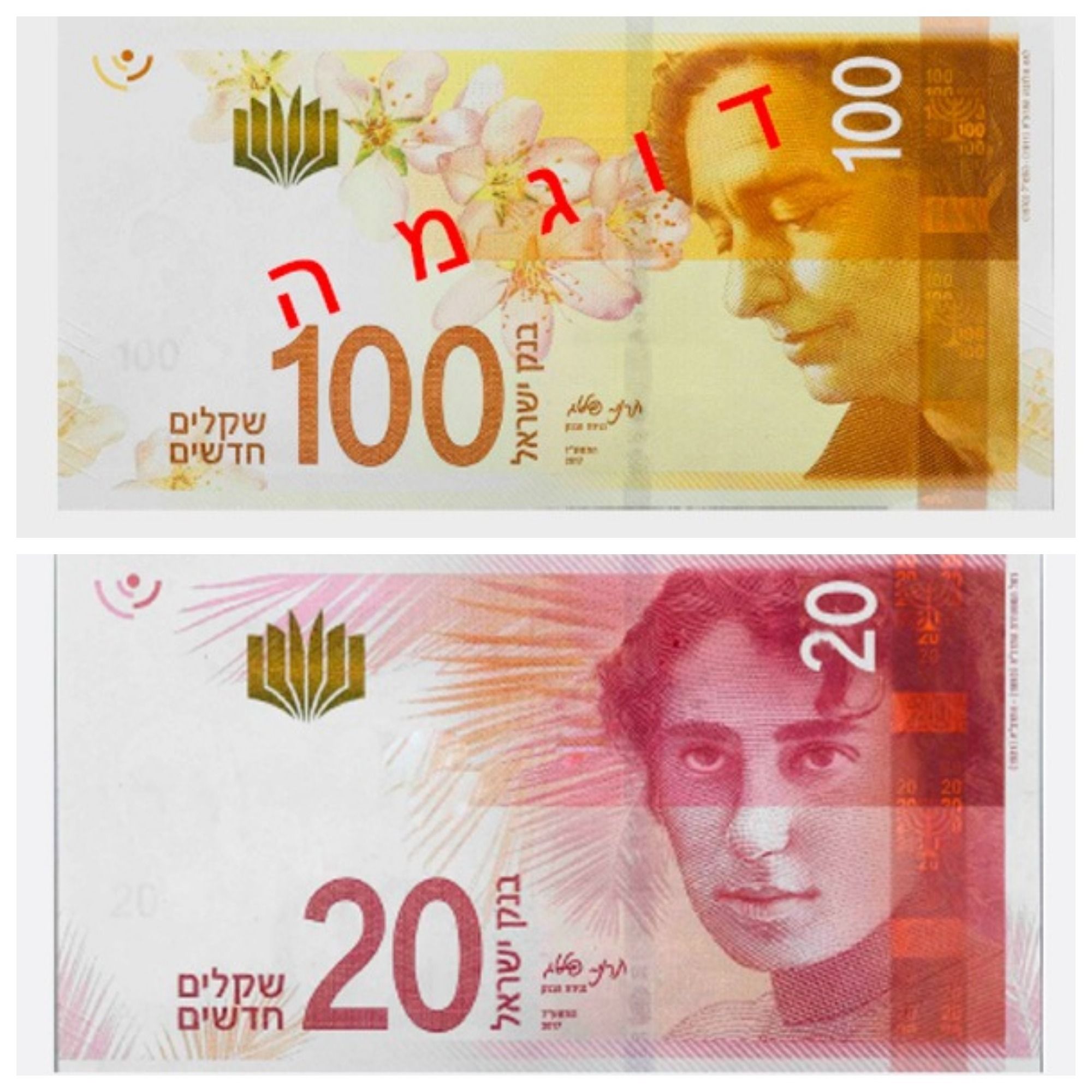 שטרות 20 100.jpg