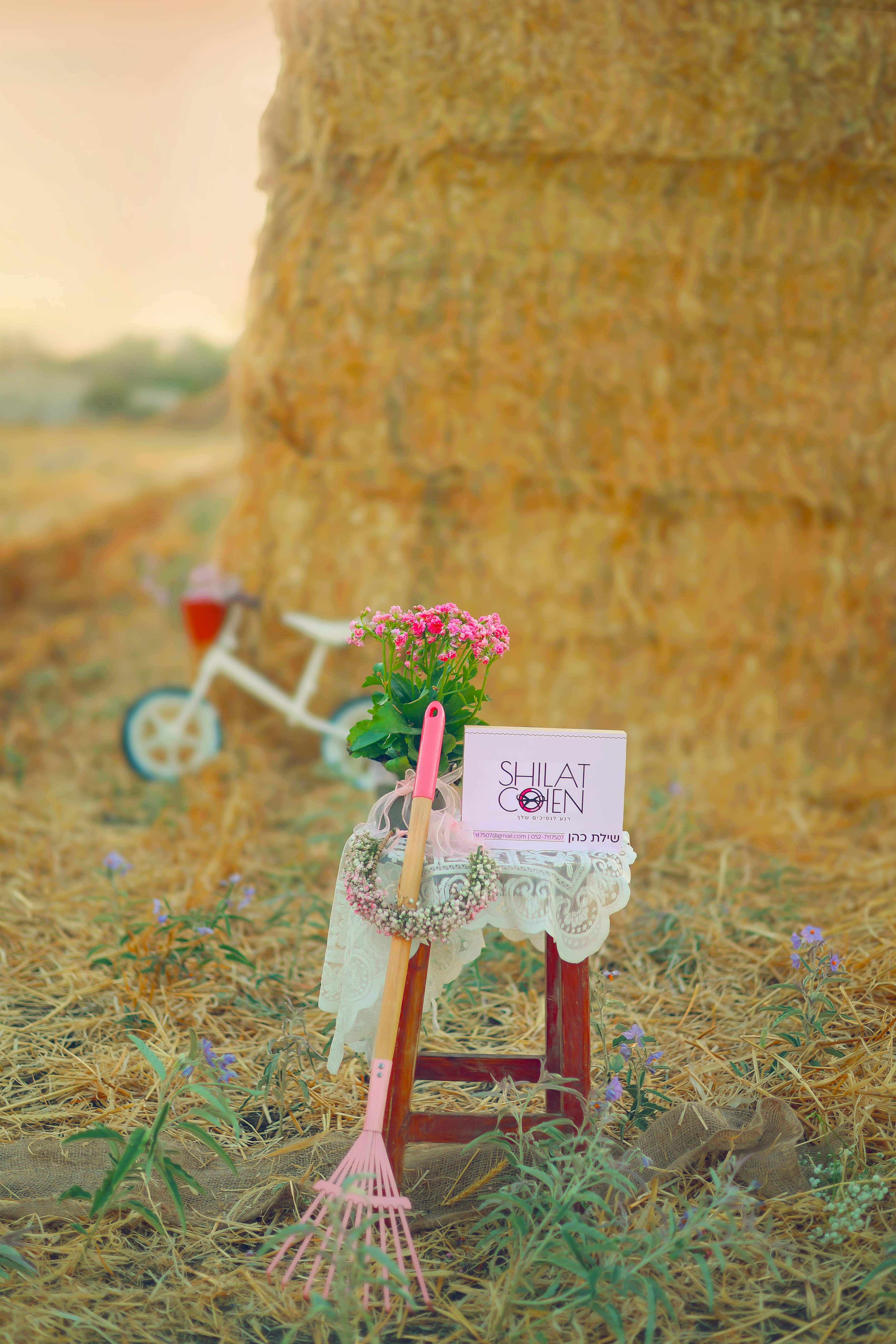 שילת כהן 05271175071 נמוך.jpg