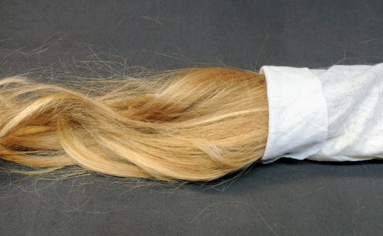 שיער (2).jpg