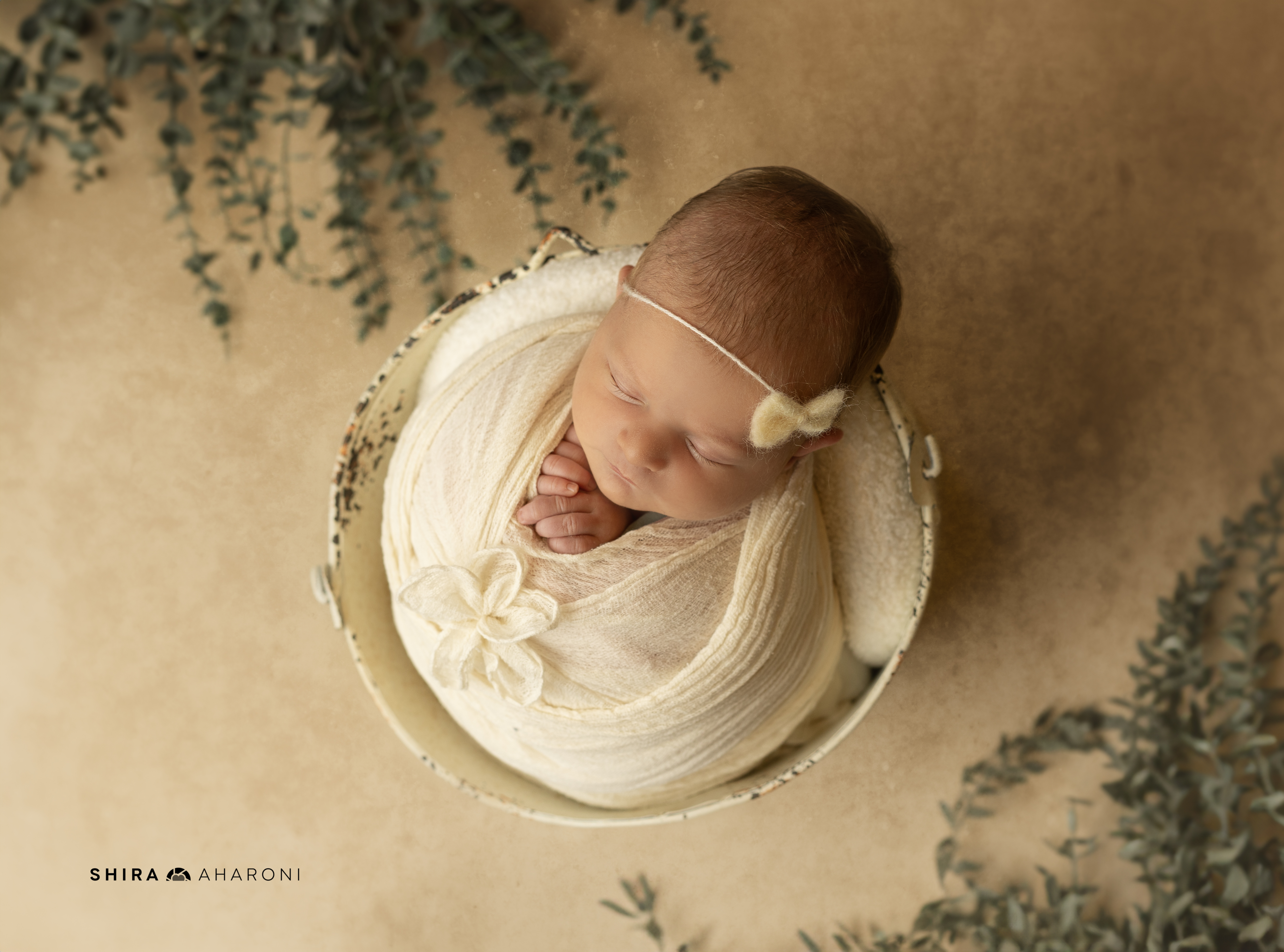 שירה אהרוני צילום  (2).jpg