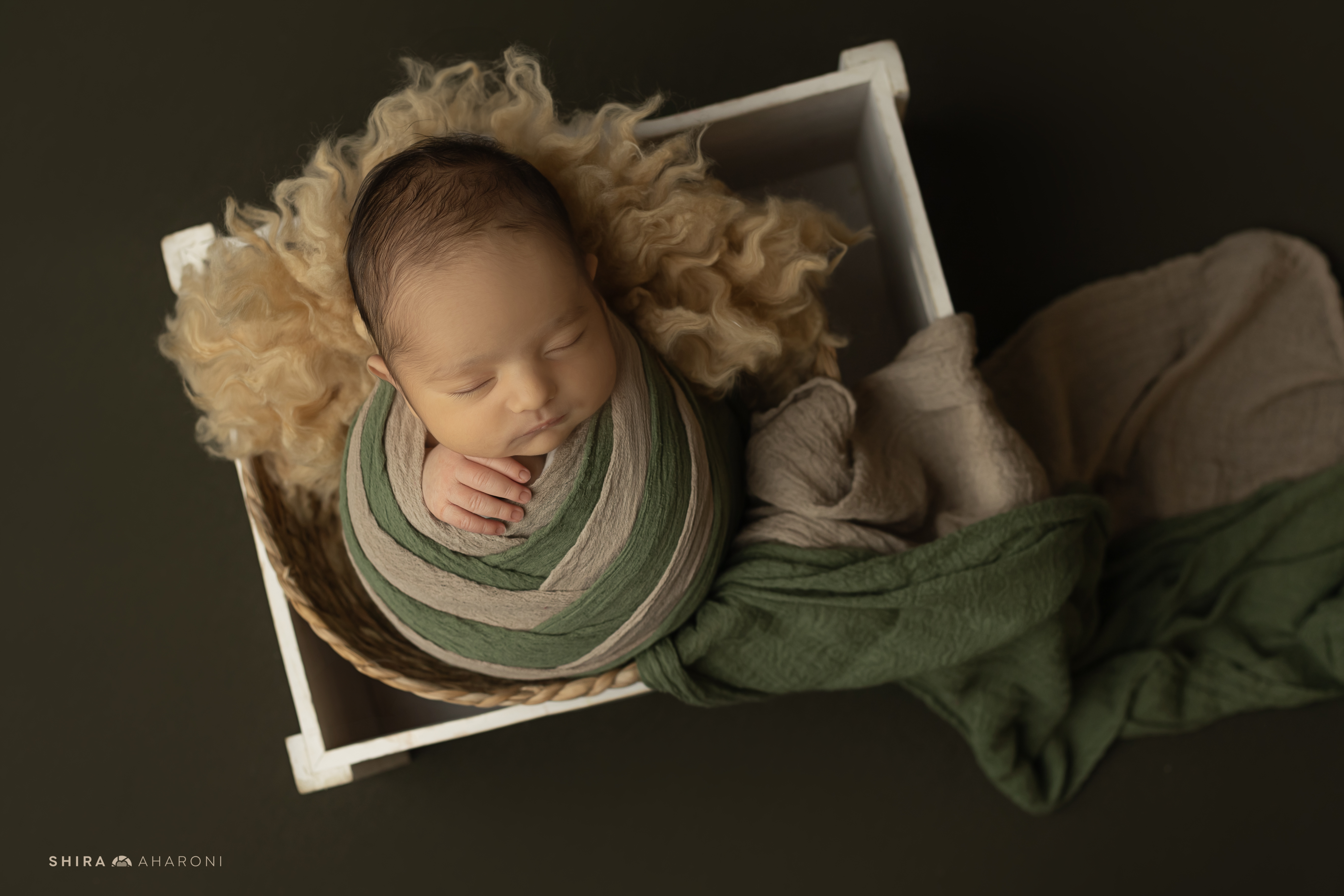 שירה אהרוני צילום  (5).jpg