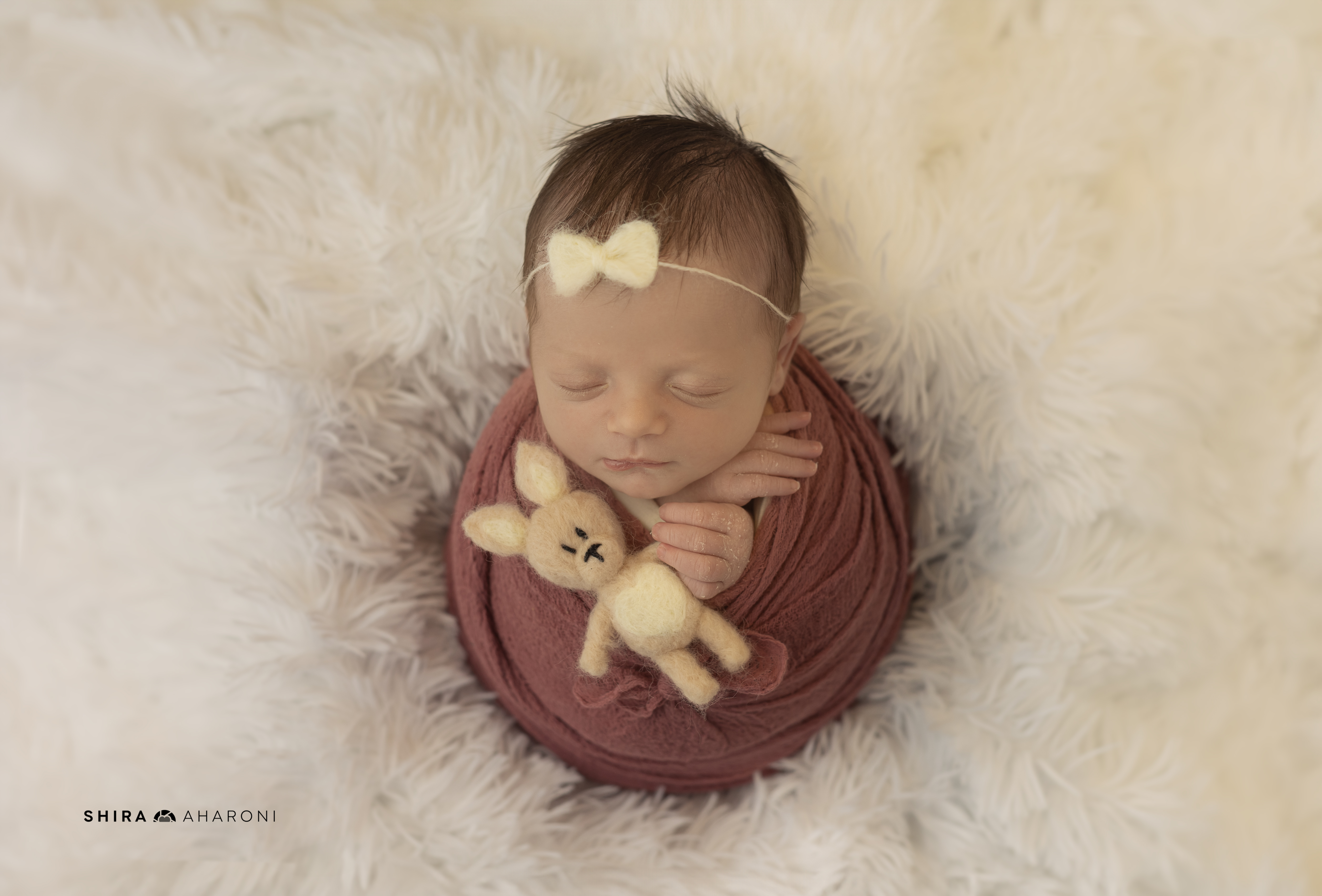 שירה אהרוני צילום (6).jpg