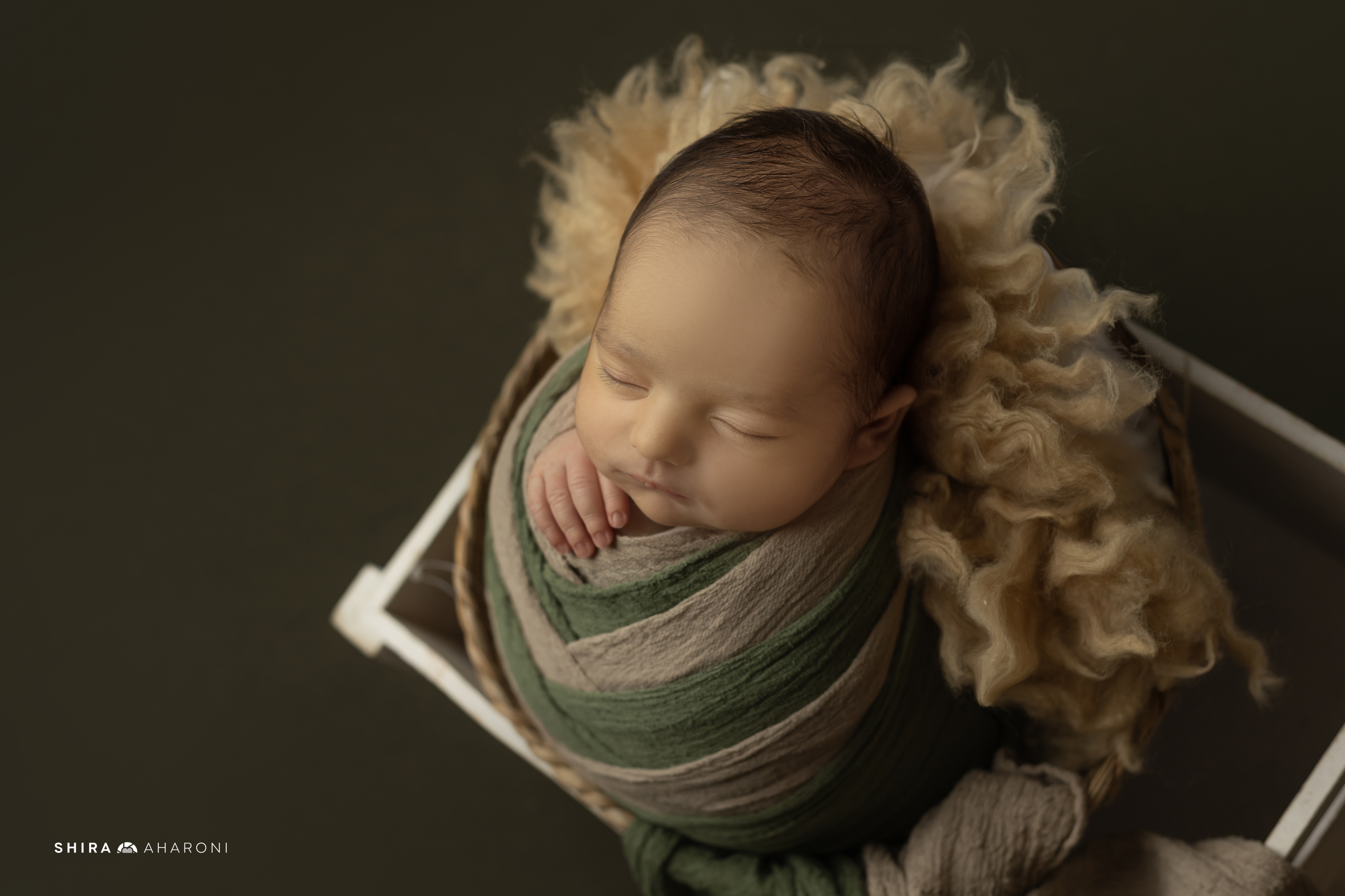 שירה אהרוני צילום  (6).jpg