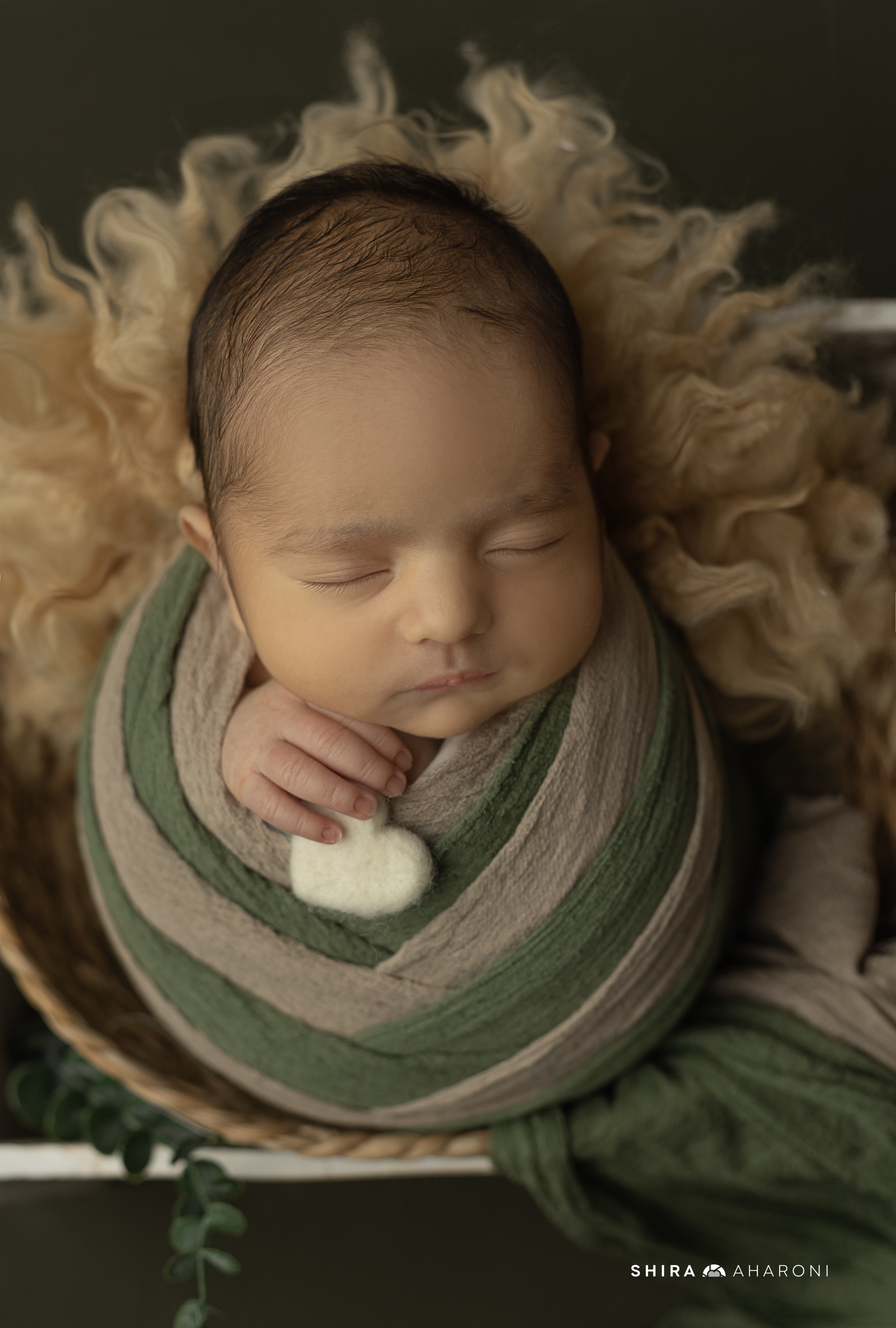 שירה אהרוני צילום  (7).jpg