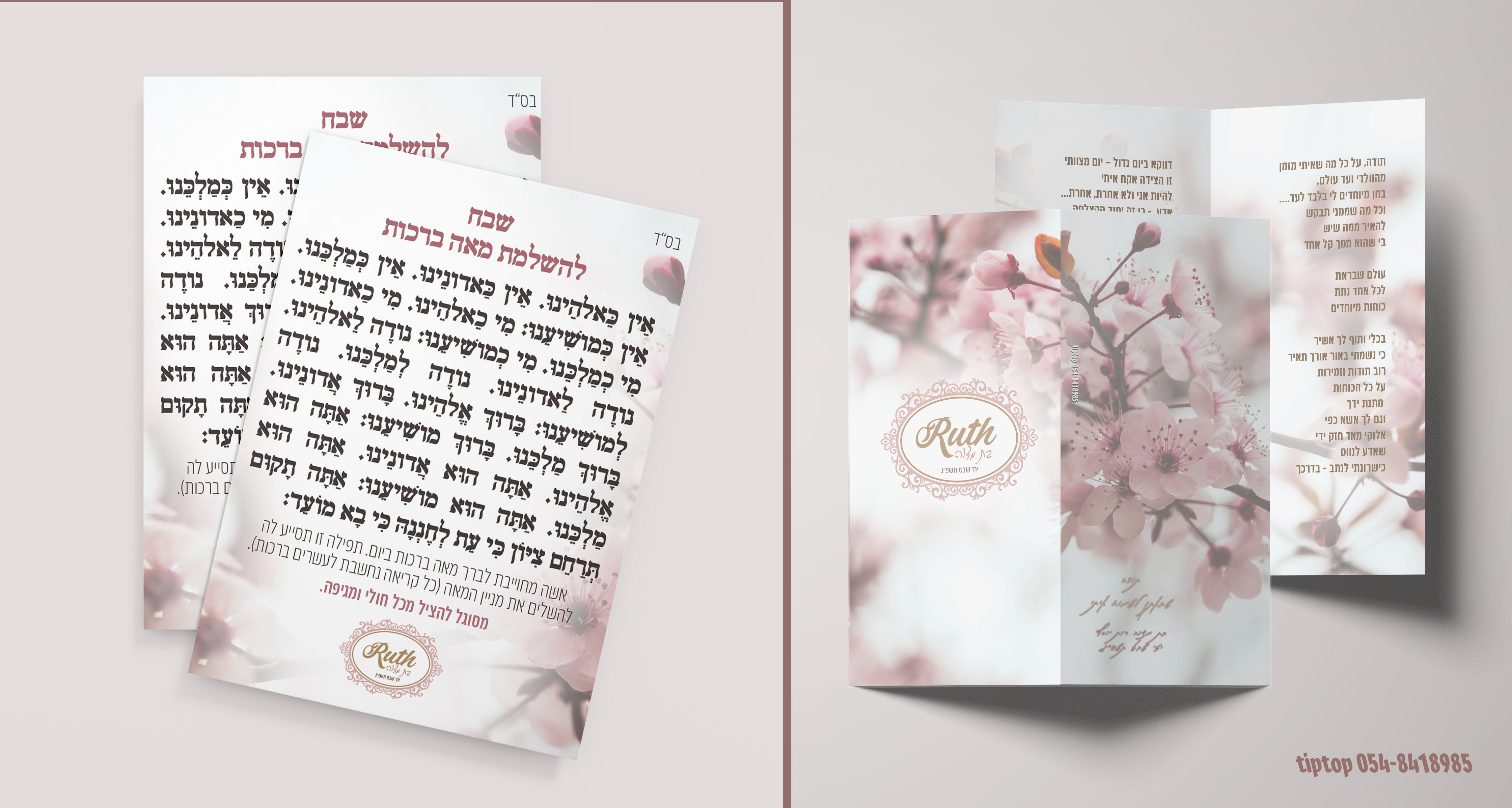 שירון ומגנט.jpg