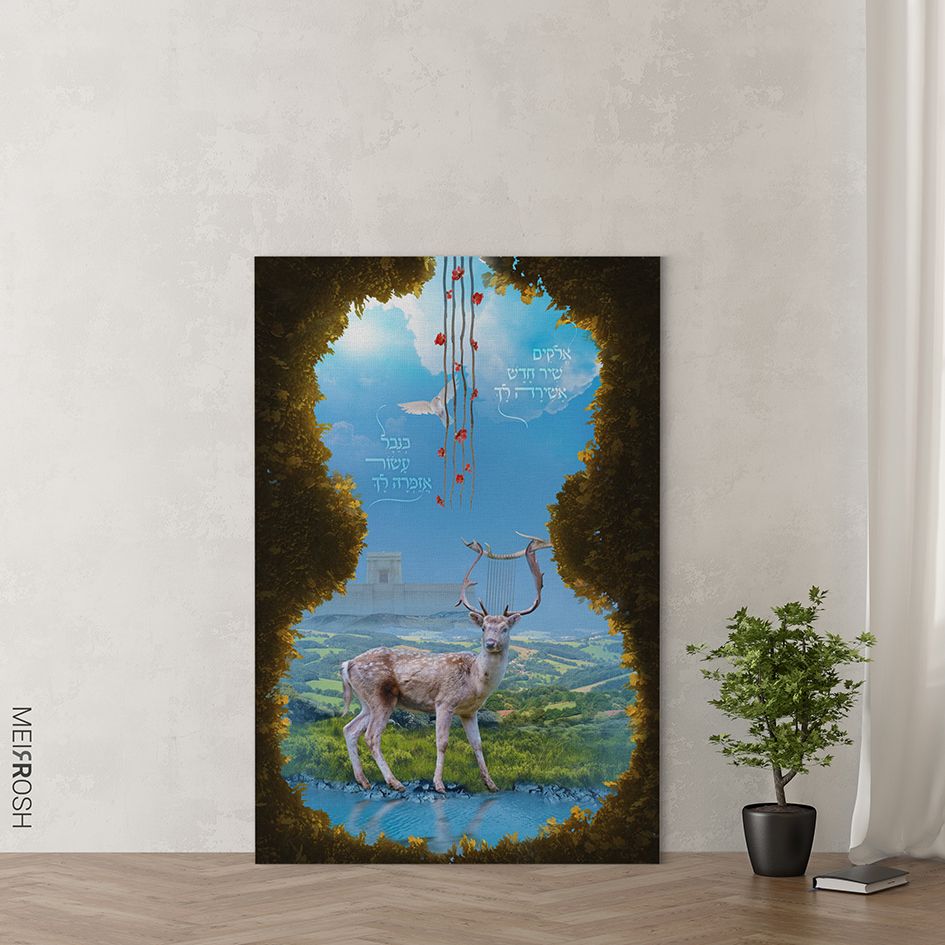 שיר חדש אשירה לך MeirRoshDesign7.jpg