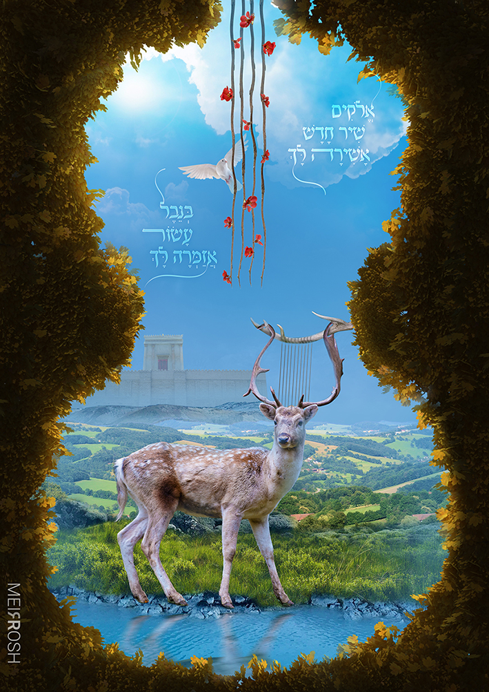 שיר חדש פוסטר MeirRoshDesign.jpg