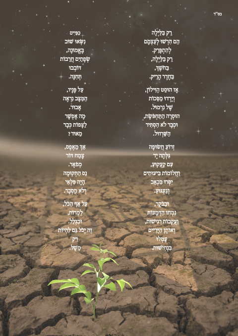 שיר-לאתגר--פרוג (Small).png