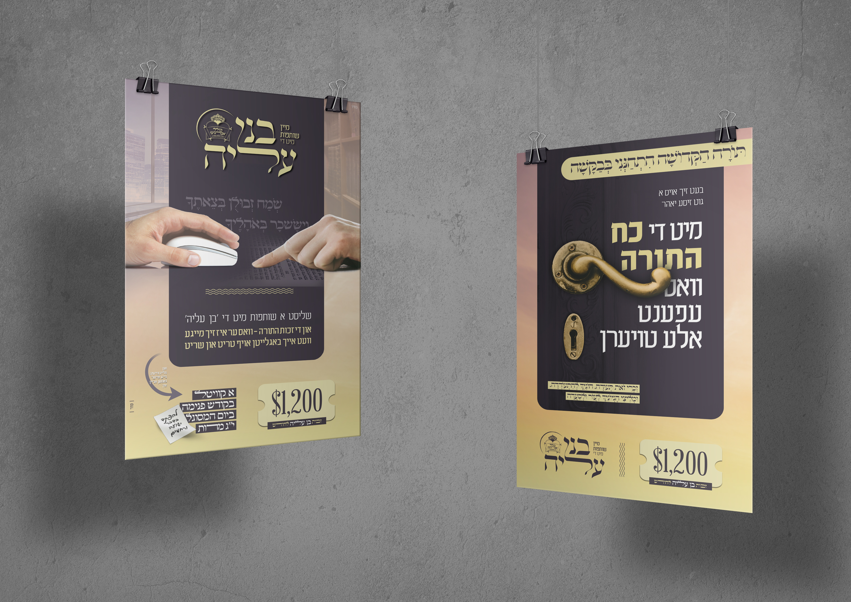 שיתוף פרוג copy2.jpg