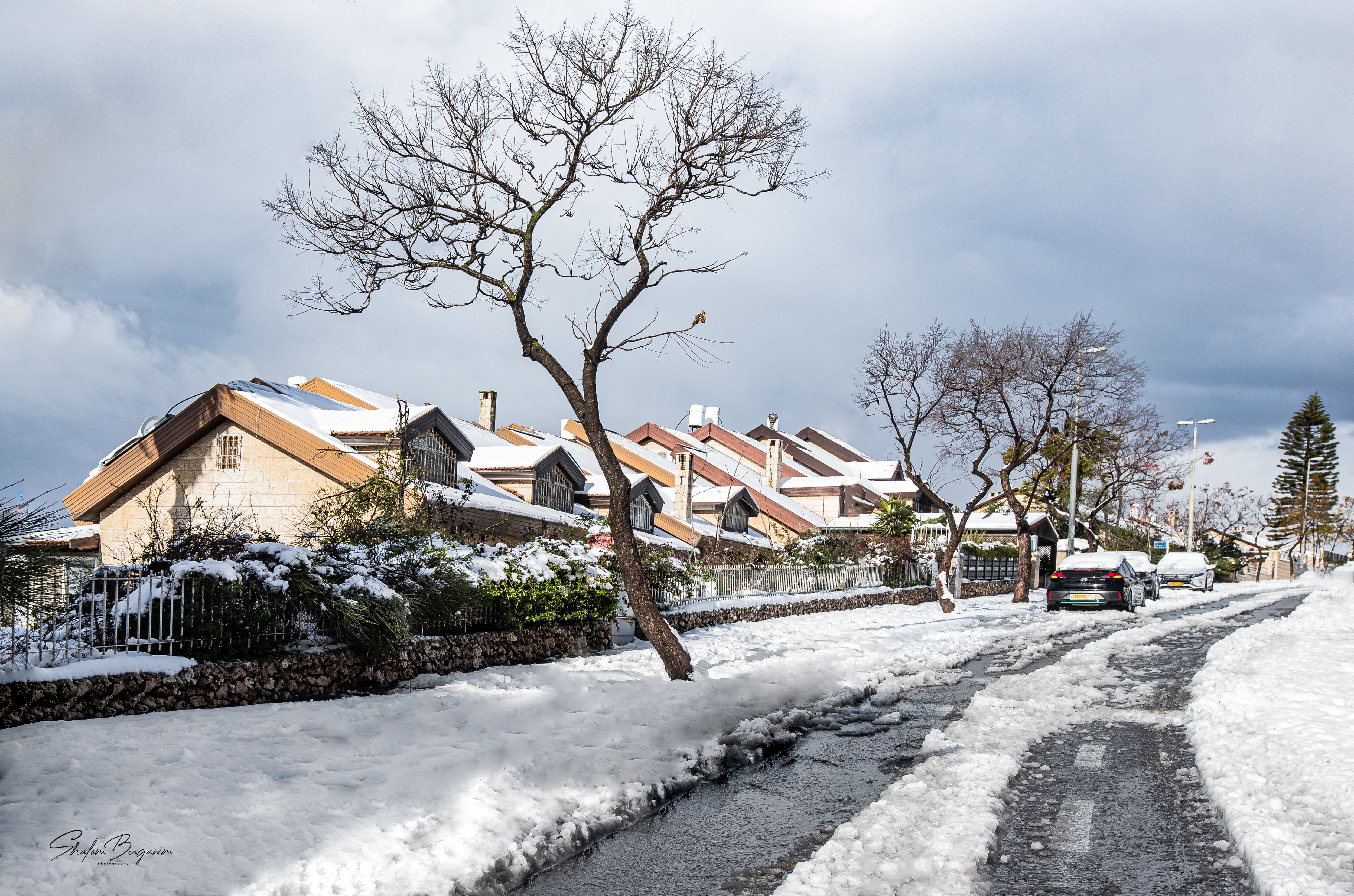 שלג ירושלים 1.jpg +.jpg