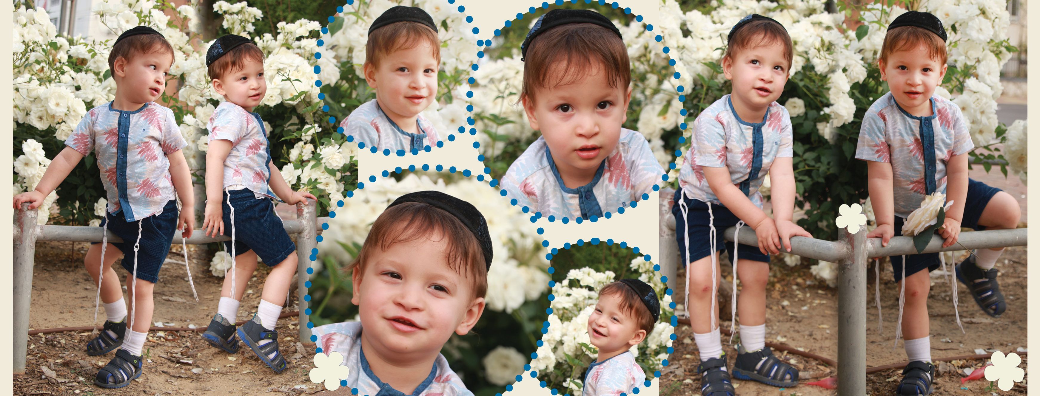 שלוימי חלאקה14.jpg