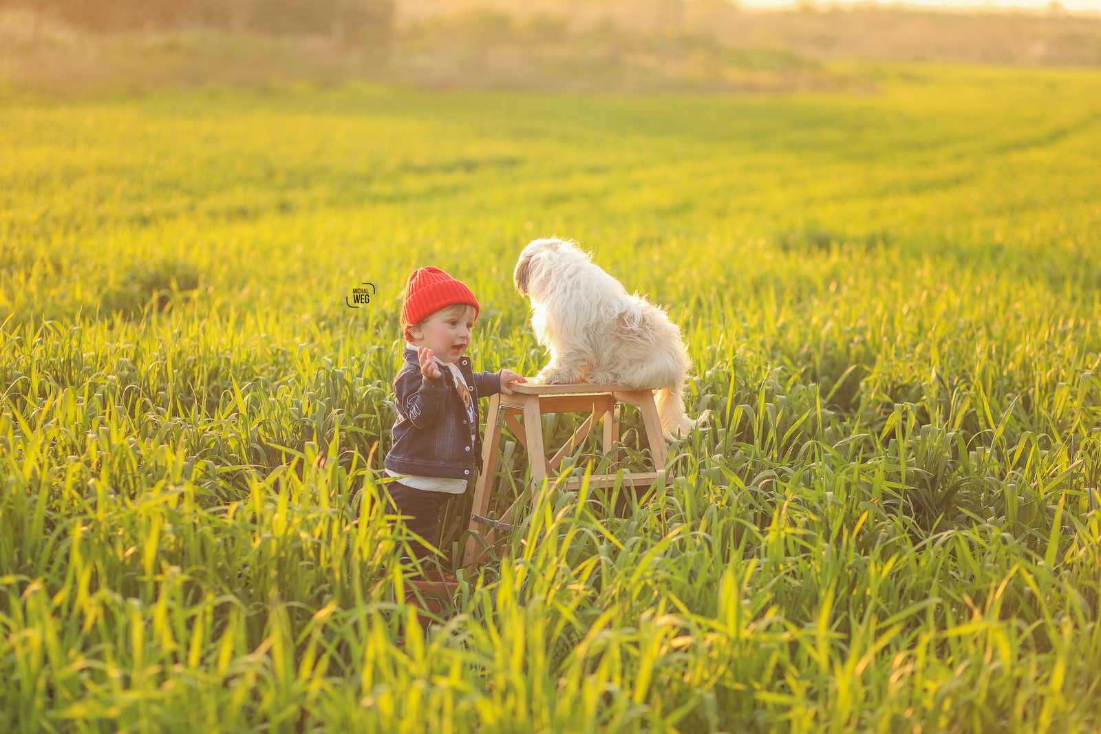 שלום גיל שנה (14).jpg