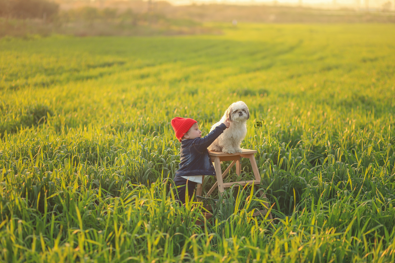 שלום גיל שנה (17).jpg