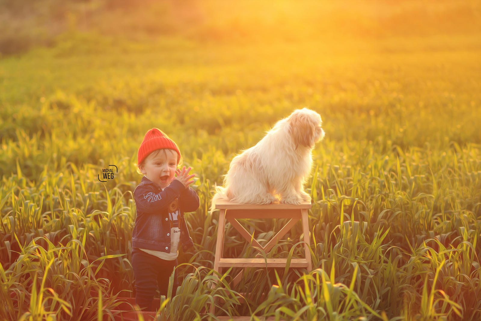 שלום גיל שנה (18).jpg