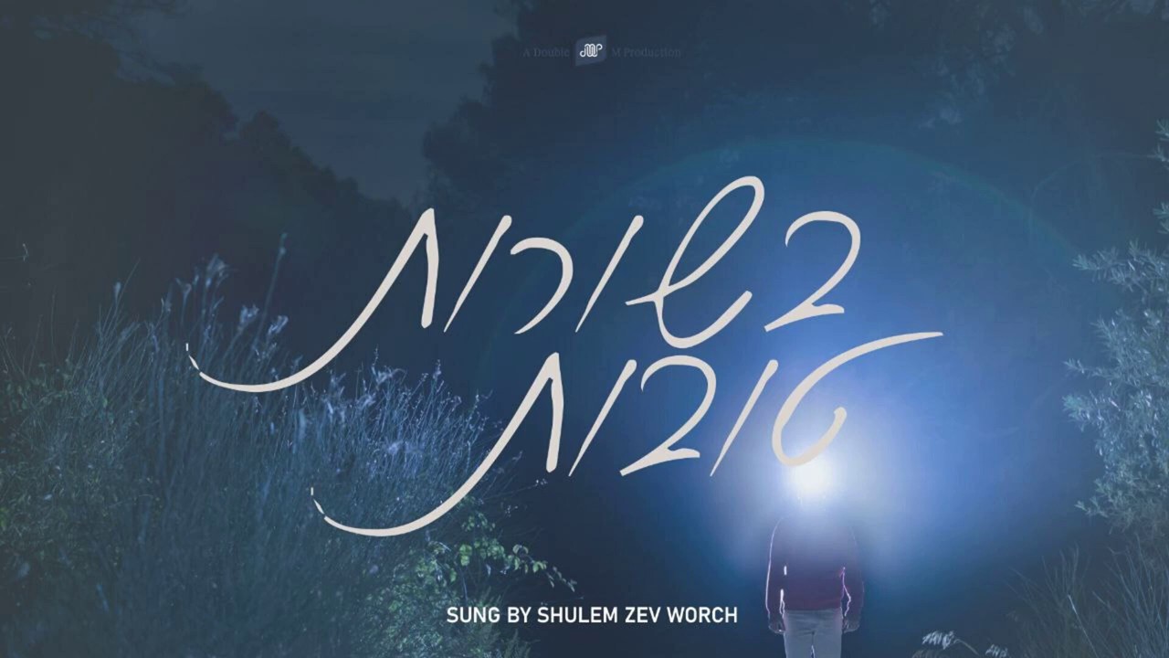 שלום זאב ווארך - בשורות טובות.jpg