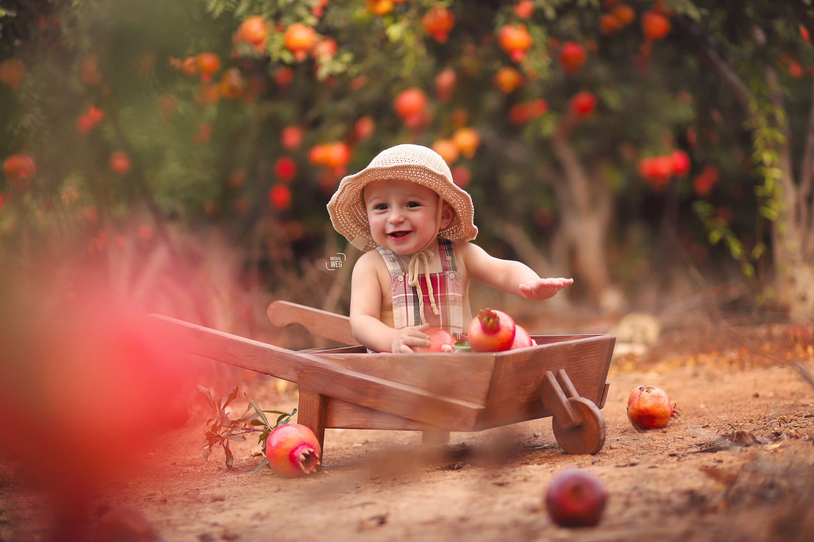 שלום רימונים (13).jpg