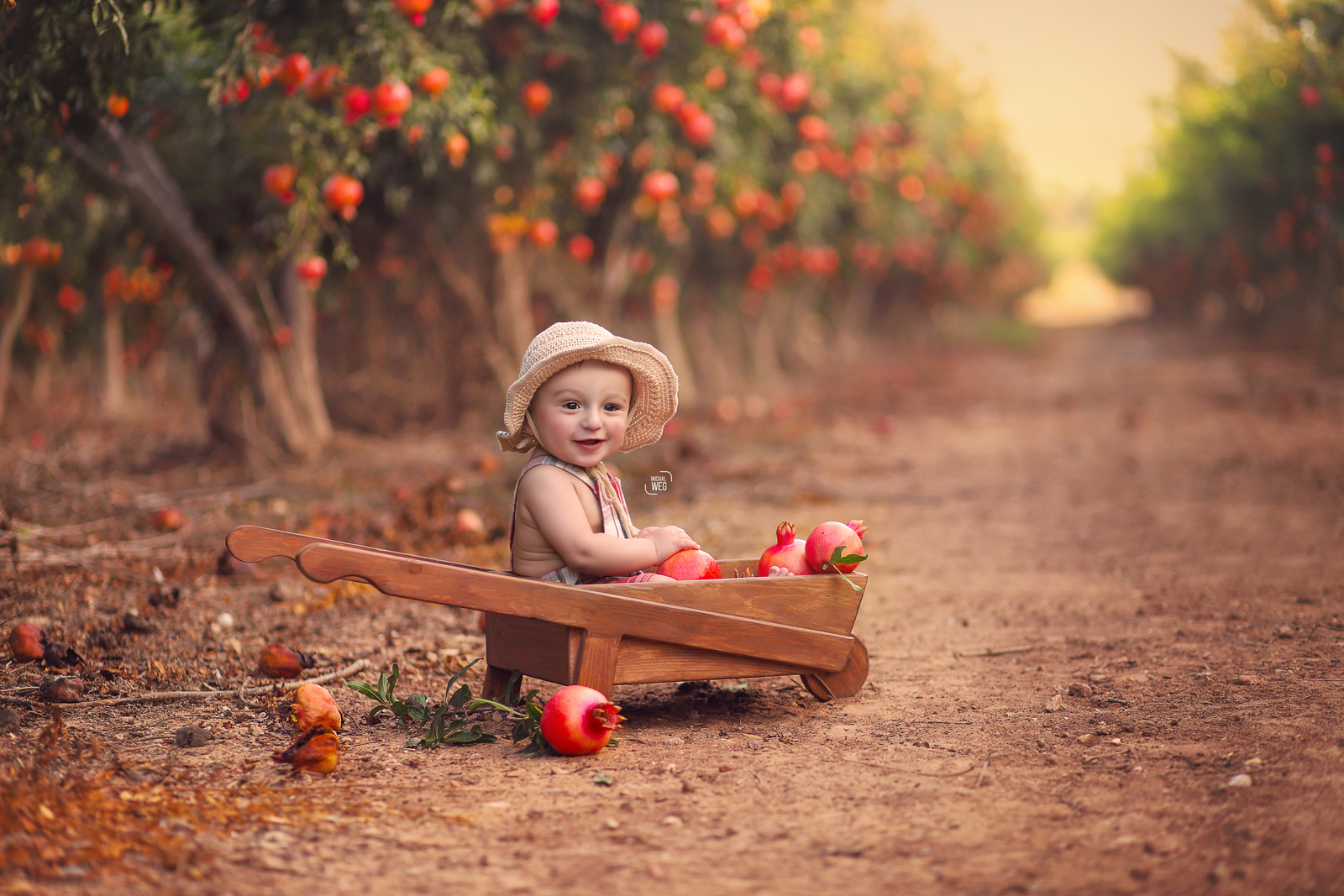 שלום רימונים (2).jpg