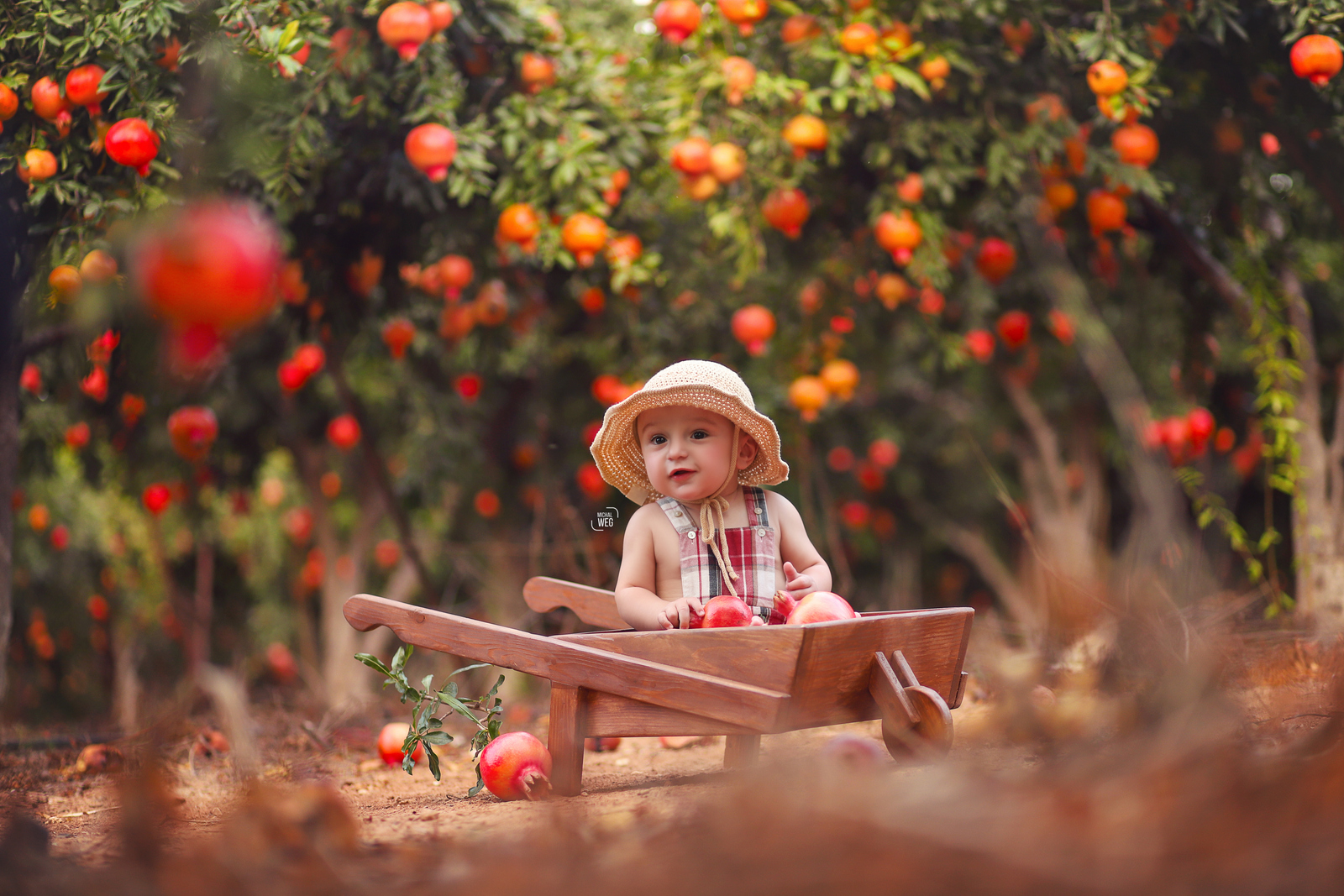 שלום רימונים (23).jpg