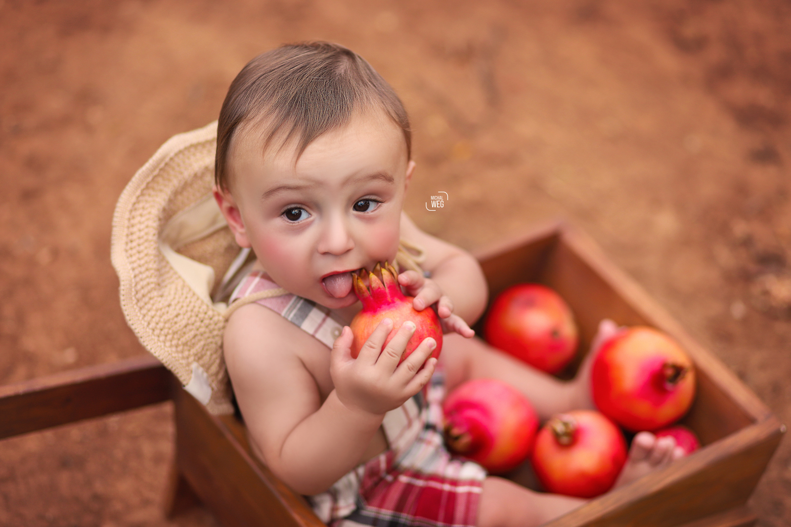 שלום רימונים (29).jpg