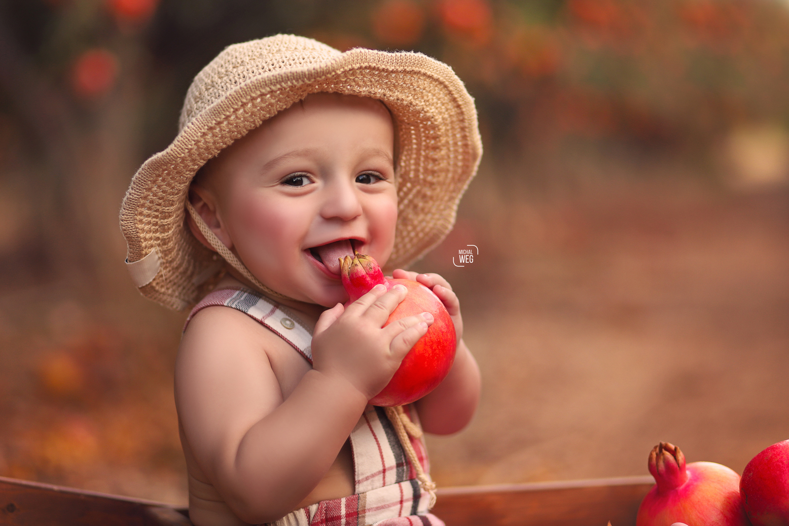 שלום רימונים (9).jpg