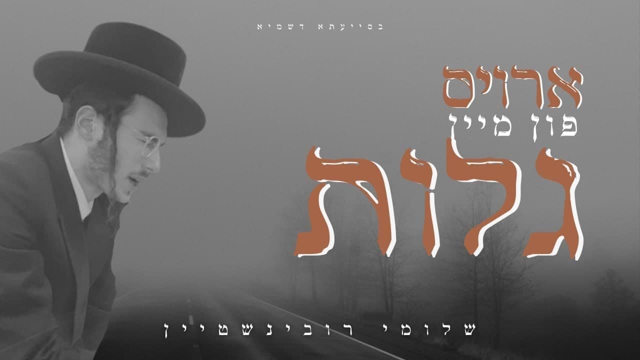 שלומי רובינשטיין - ארויס פון מיין גלות.jpg