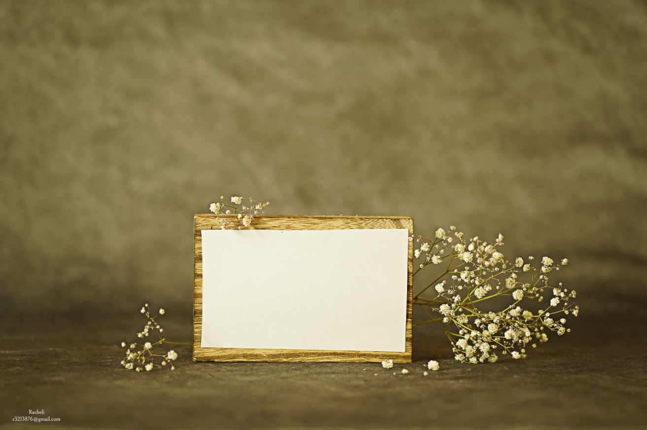 שלט וגיבסניות.JPG